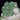 Fine Flowered Green Apophyllite Specimen #22 from Maharashtra, India