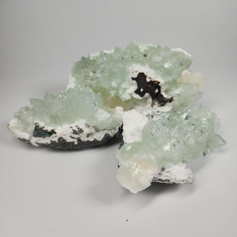 Flowered Green Apophyllite on Mordenite from Pune District, Maharashtra, India