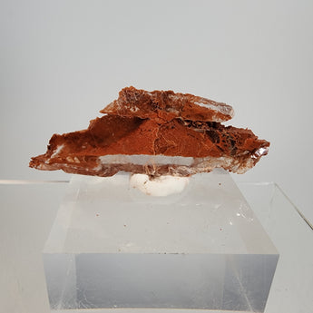 Red Phantom Selenite (red clay inclusions) from Valencia, Spain