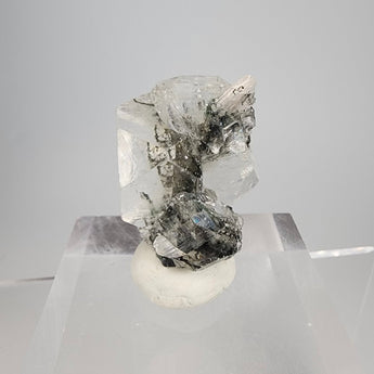 Apophyllite with Black Chalcedony Inclusions from Maharashtra, India