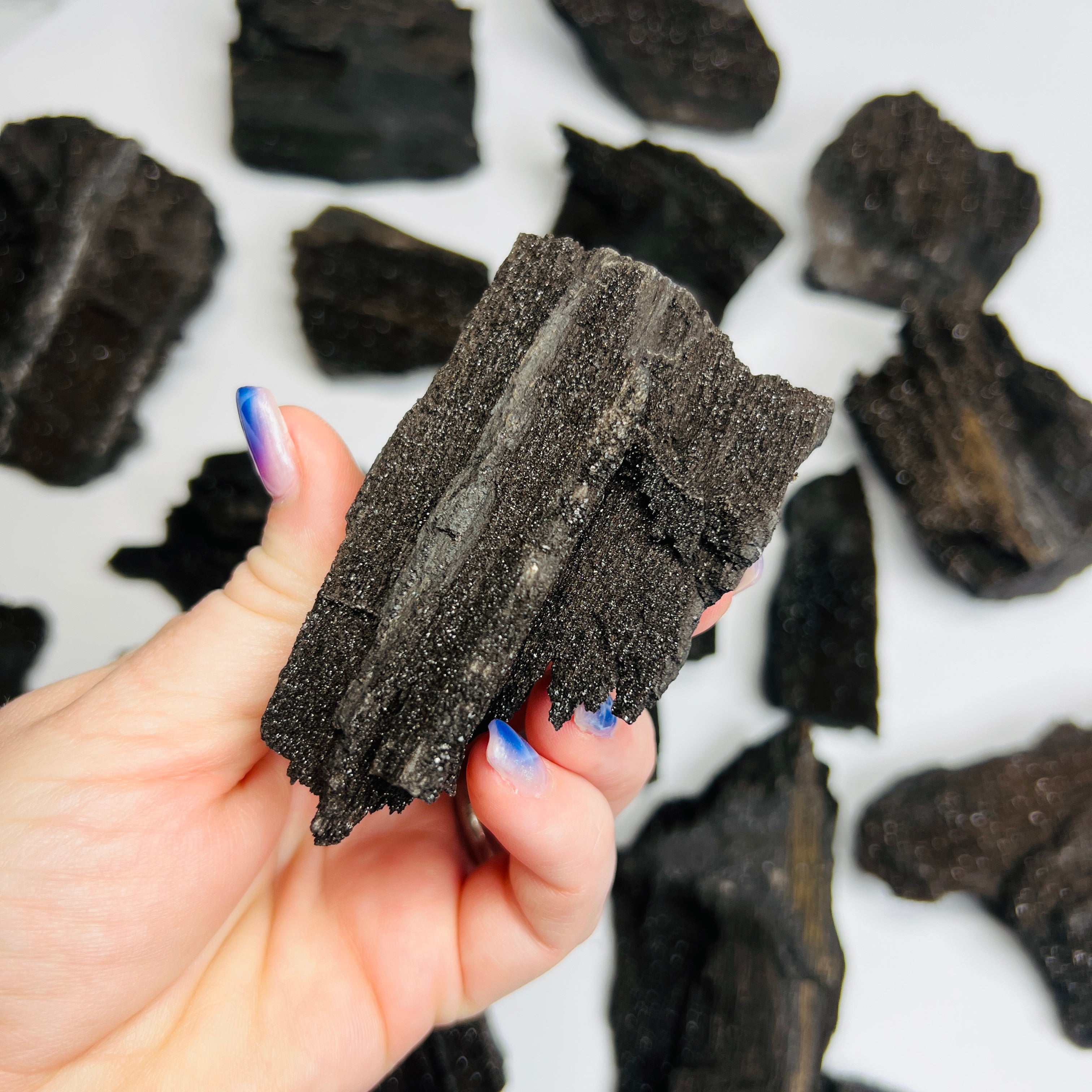 Galaxy Wood AKA Perimineralized Wood from Sukabumi, Indonesia – Crystal ...