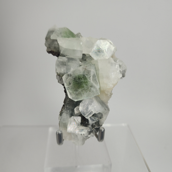 Black & Green Apophyllite with Chlorite Inclusions from Ahmednagar, Maharashtra, India