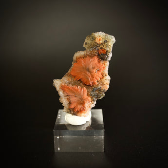 Fine Mineral Scolecite Sun from Chandwad, Maharashtra, India