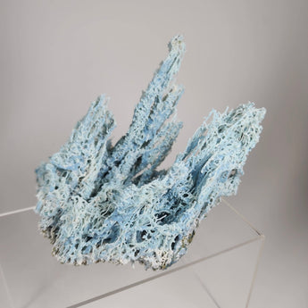 Blue Filigree Chalcedony Stalactite from Aurangabad, Maharashtra, India