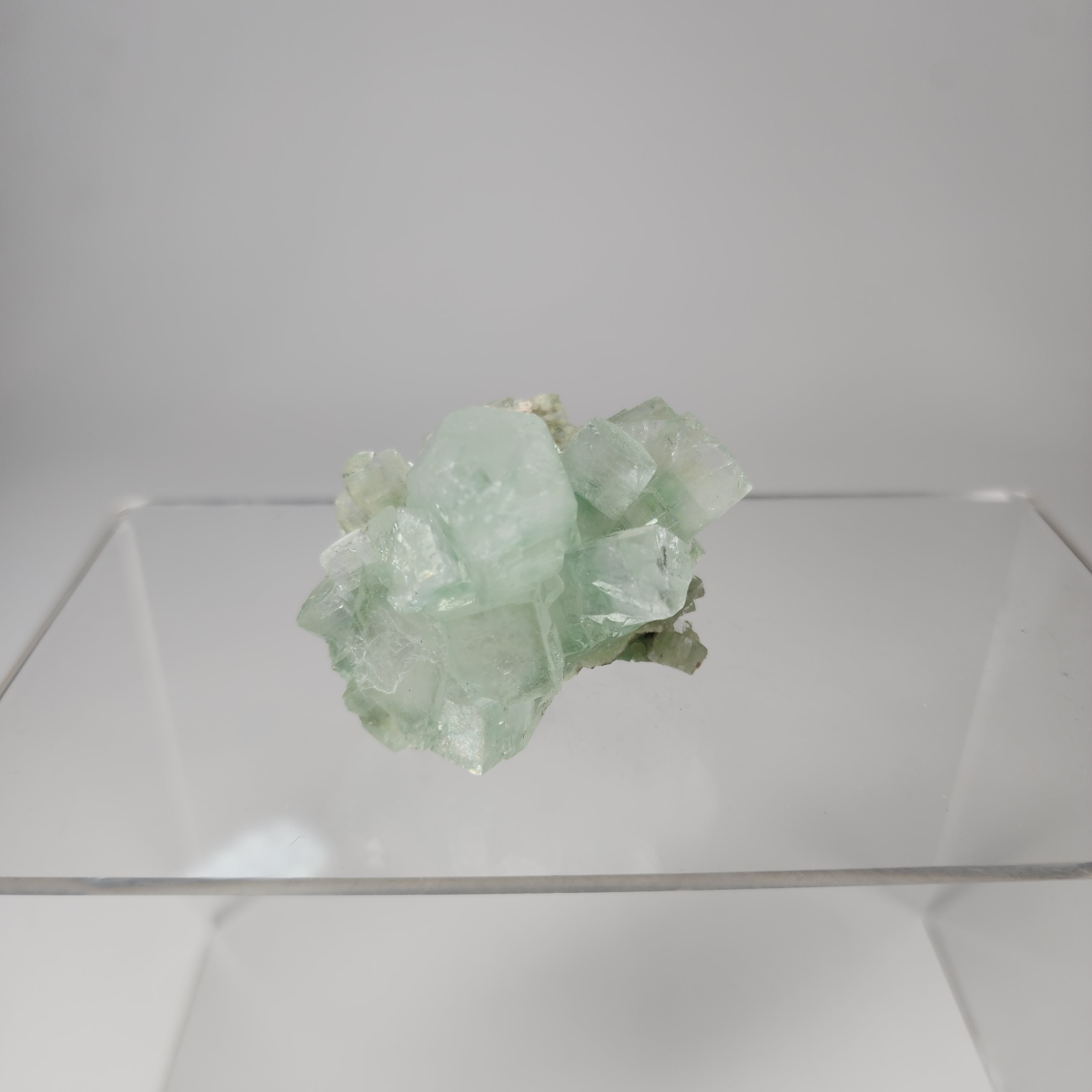 Light Green Disco Ball Apophyllite - Specimen #2 -  from Admednagar, Maharashtra, India