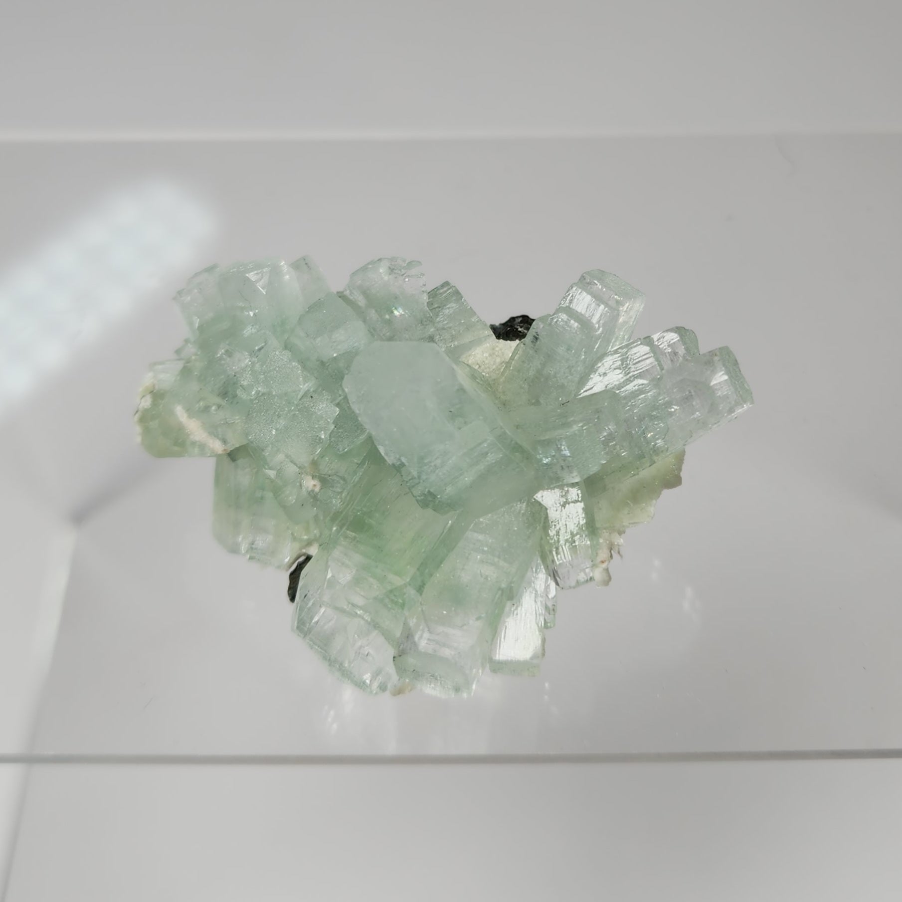 Light Green Disco Ball Apophyllite - Specimen #3 -  from Admednagar, Maharashtra, India