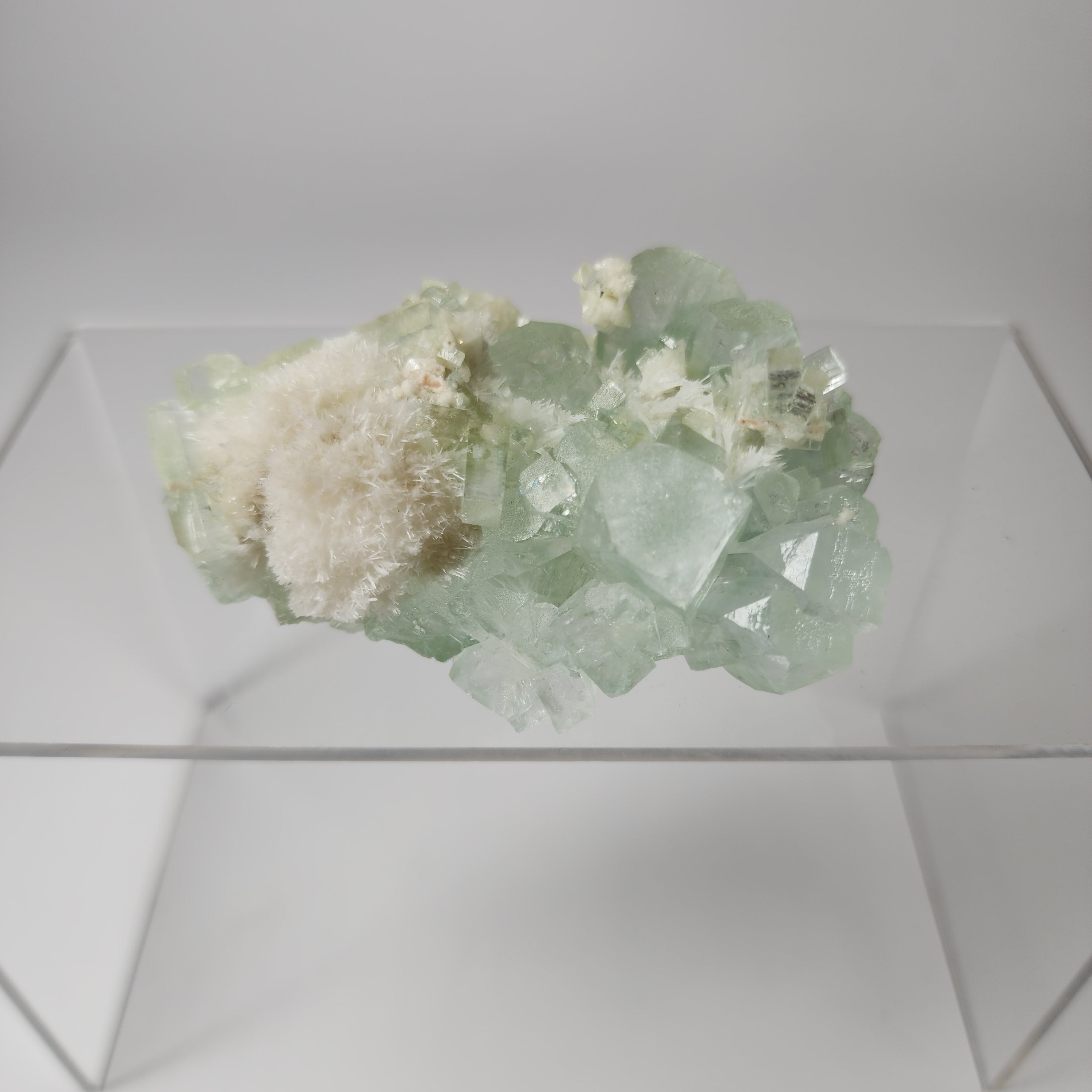 Light Green Disco Ball Apophyllite - Specimen #6 -  from Admednagar, Maharashtra, India