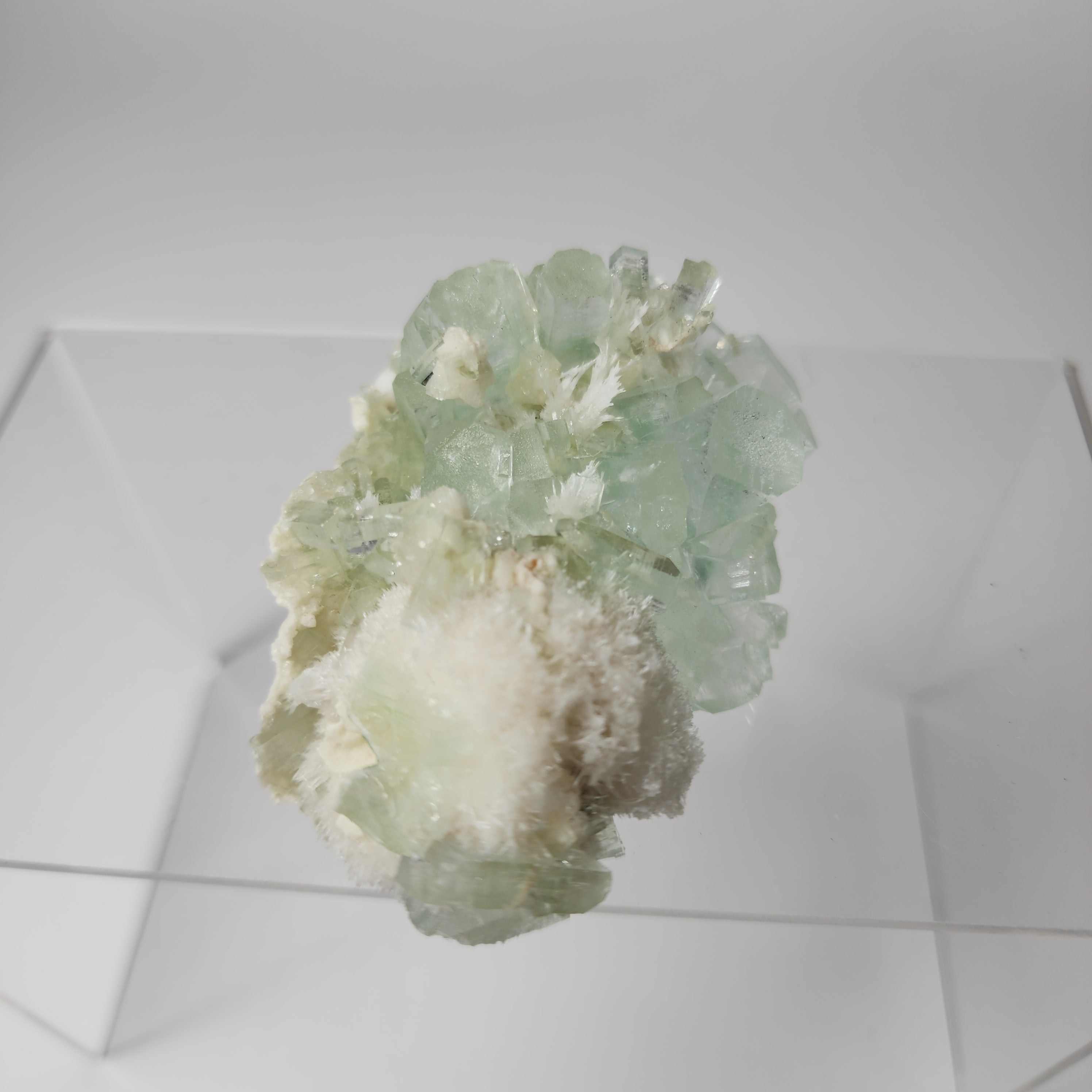 Light Green Disco Ball Apophyllite - Specimen #6 -  from Admednagar, Maharashtra, India