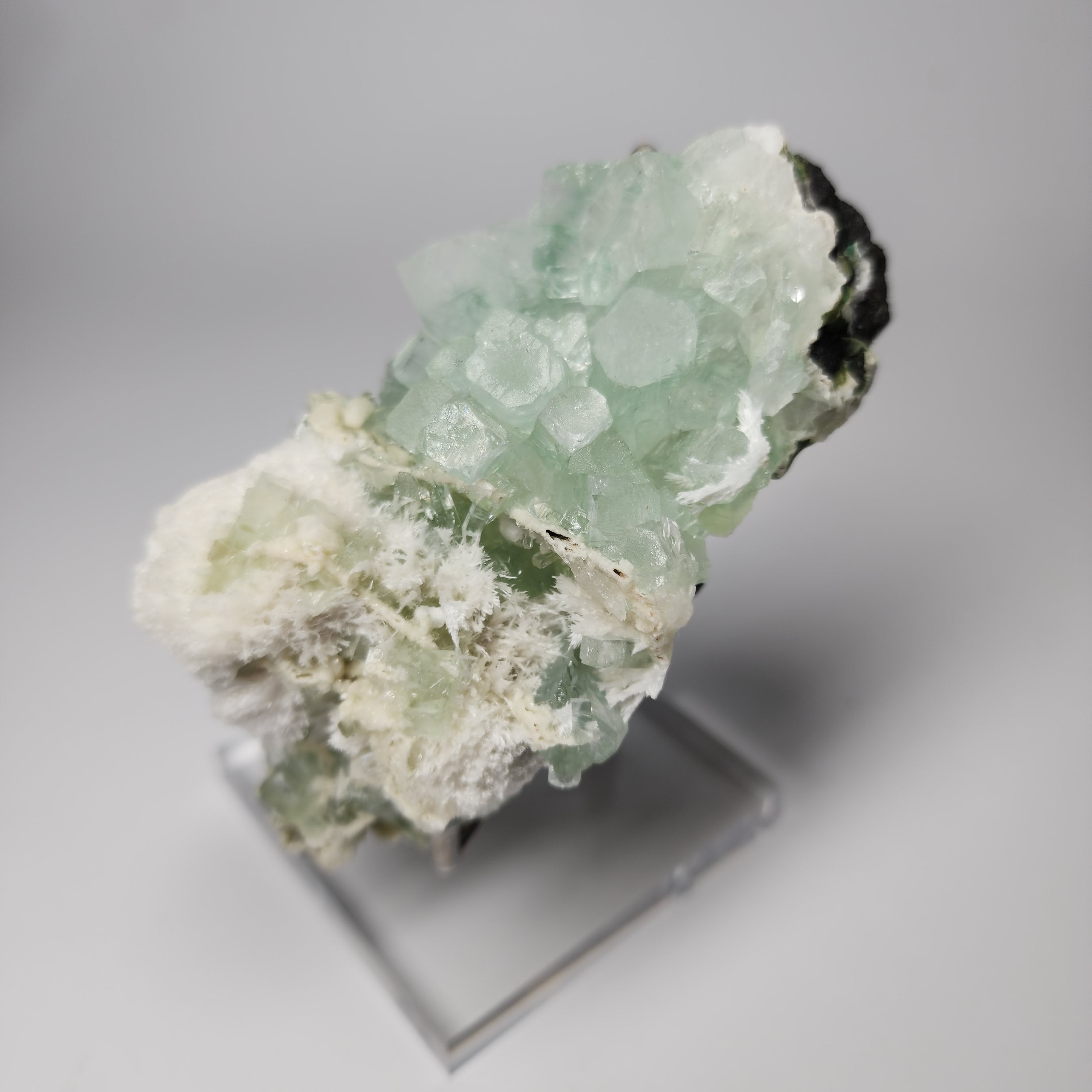 Light Green Disco Ball Apophyllite - Specimen #7 -  from Admednagar, Maharashtra, India