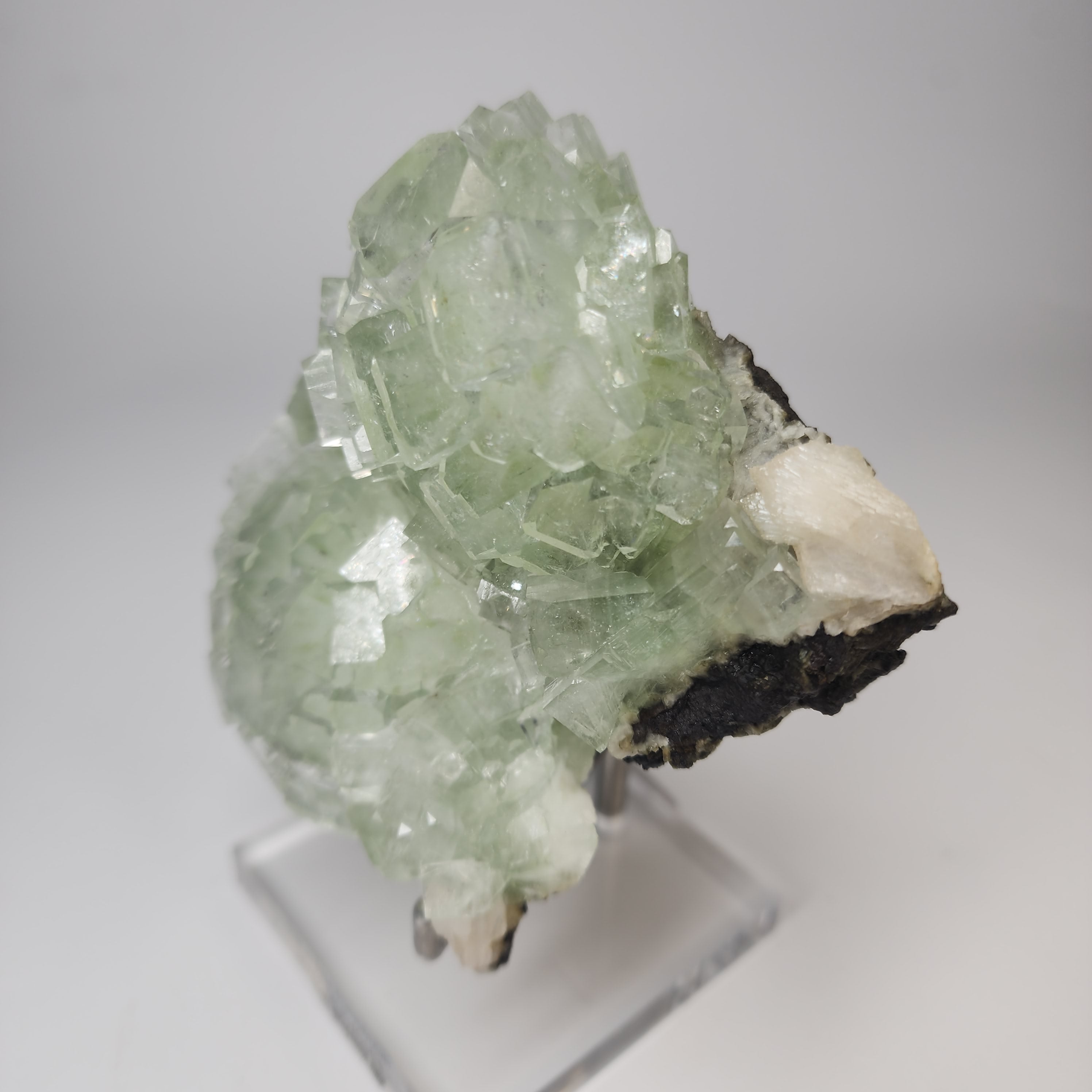 Fine Specimen - Disco Ball Green Apophyllite from Pune District, Maharashtra, India