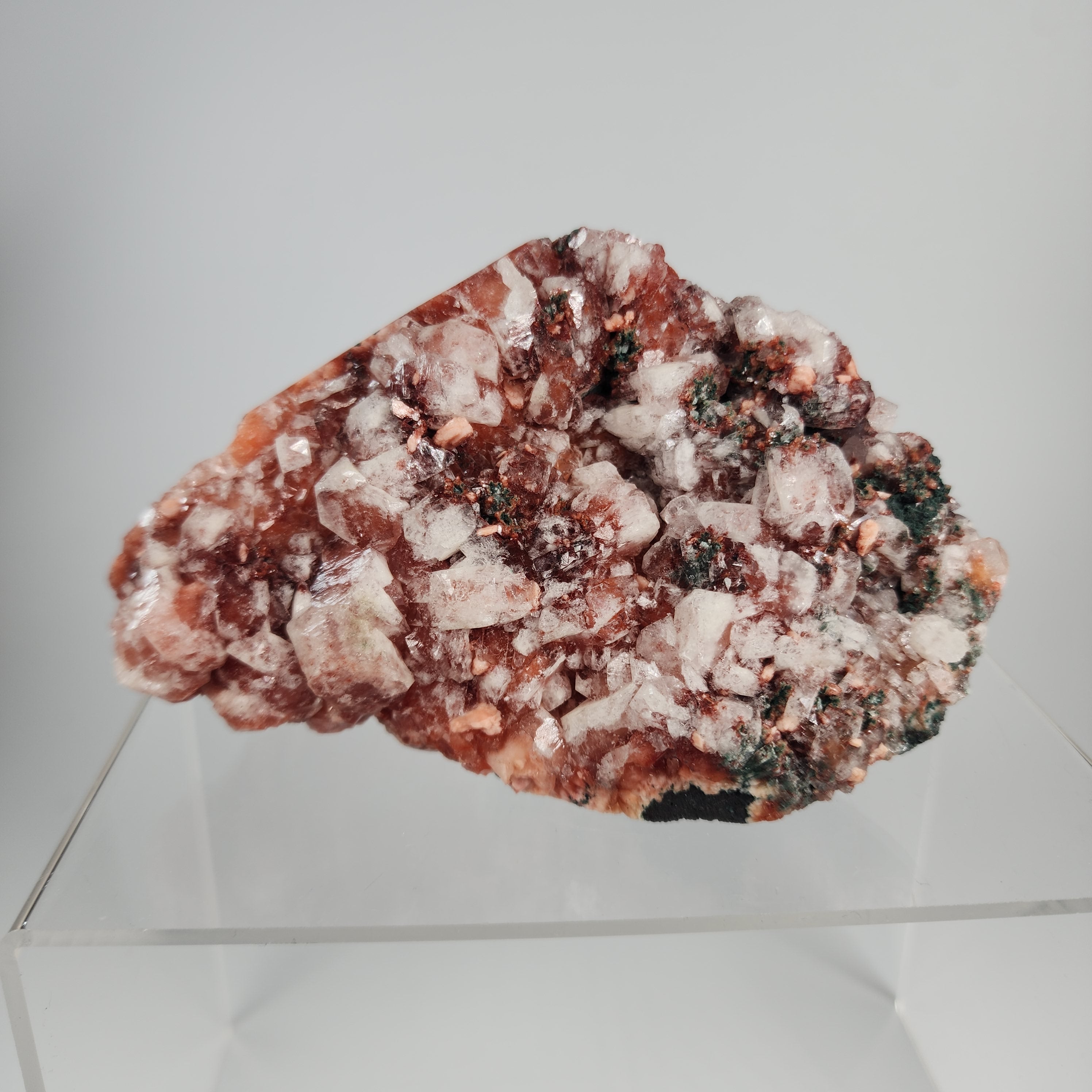 Red Apophyllite (Apophyllite on Hematite) Specimen #2 from Jalgaon Mine, Maharashtra, India