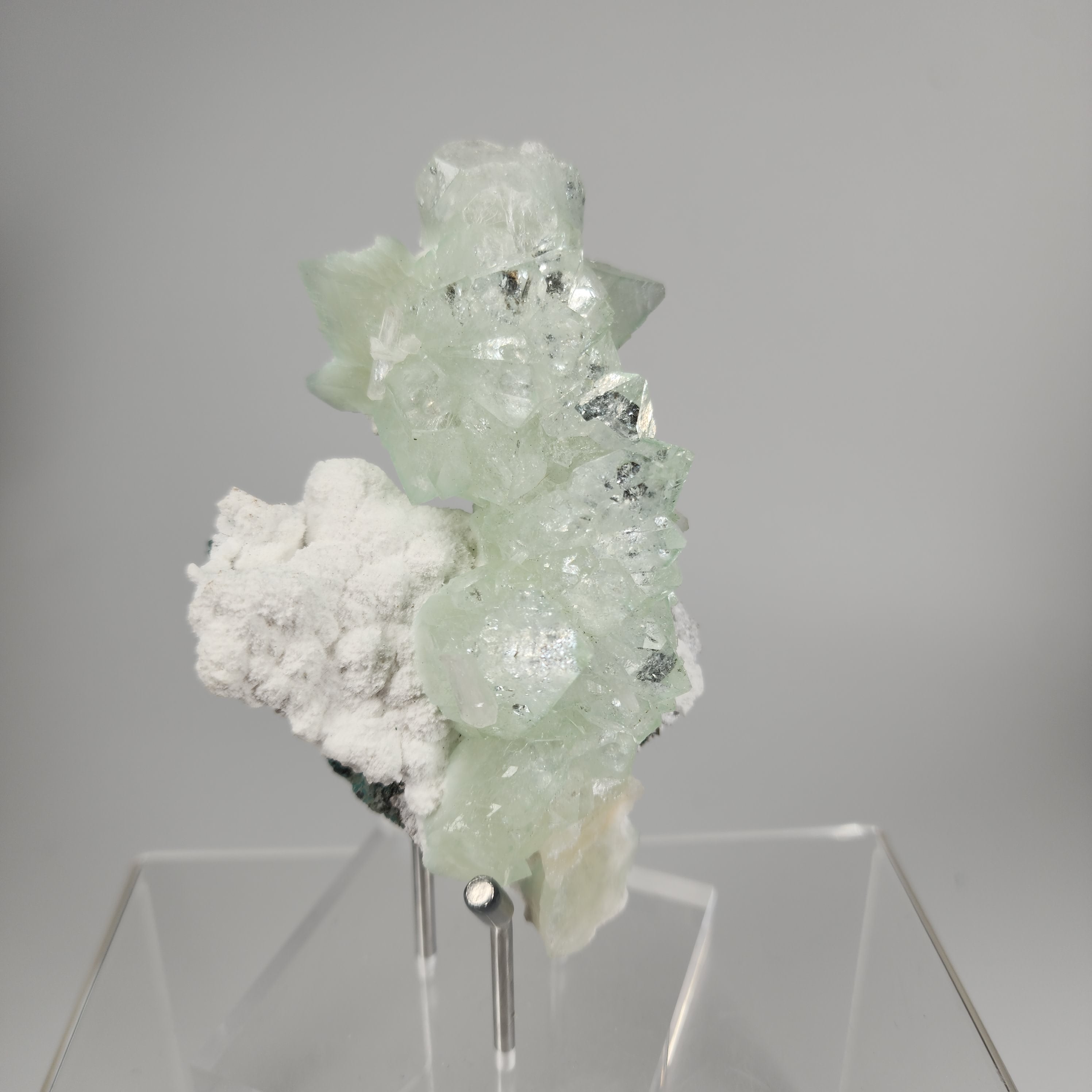 Flowered Green Apophyllite on Mordenite Specimen # 2 from Pune District, Maharashtra, India