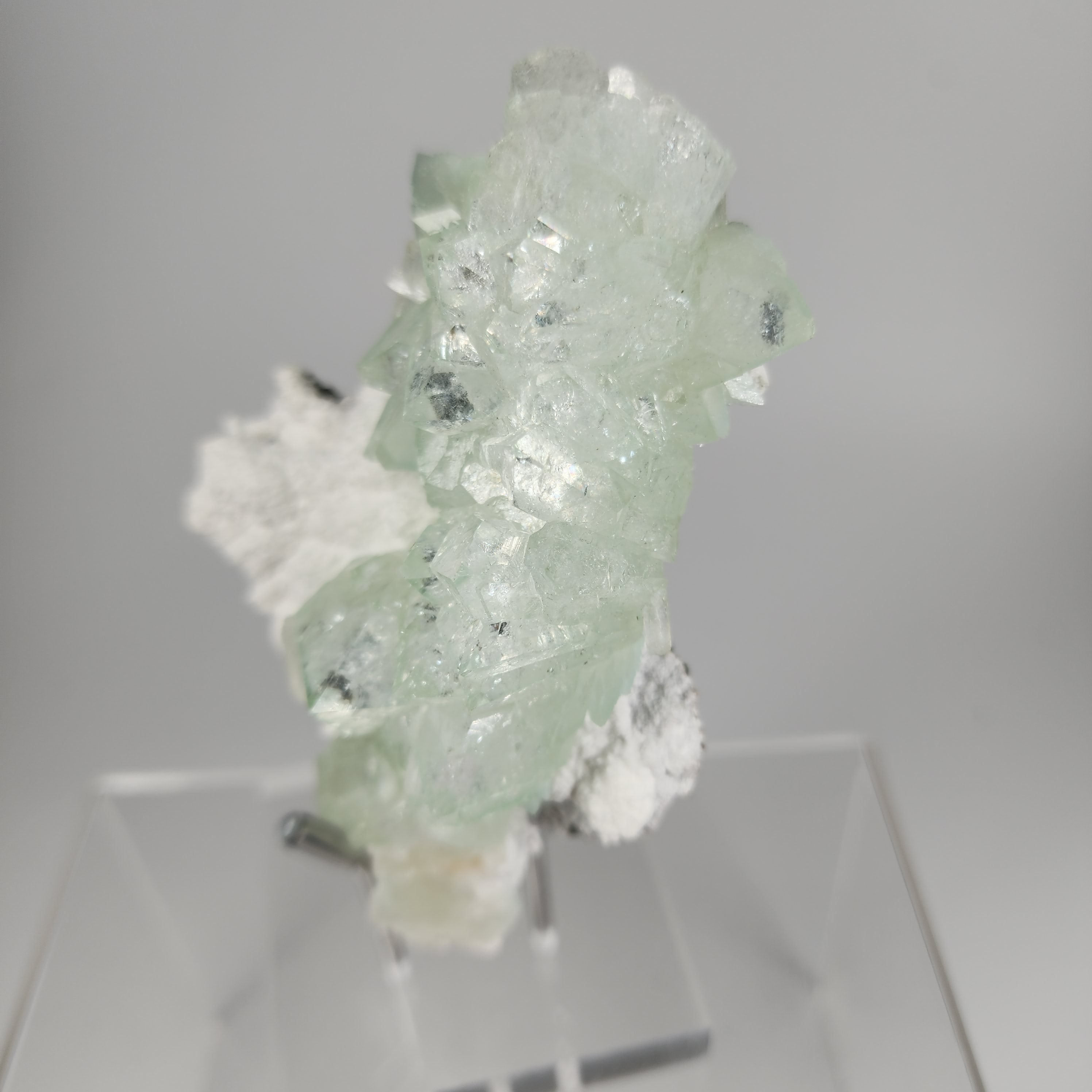 Flowered Green Apophyllite on Mordenite Specimen # 2 from Pune District, Maharashtra, India