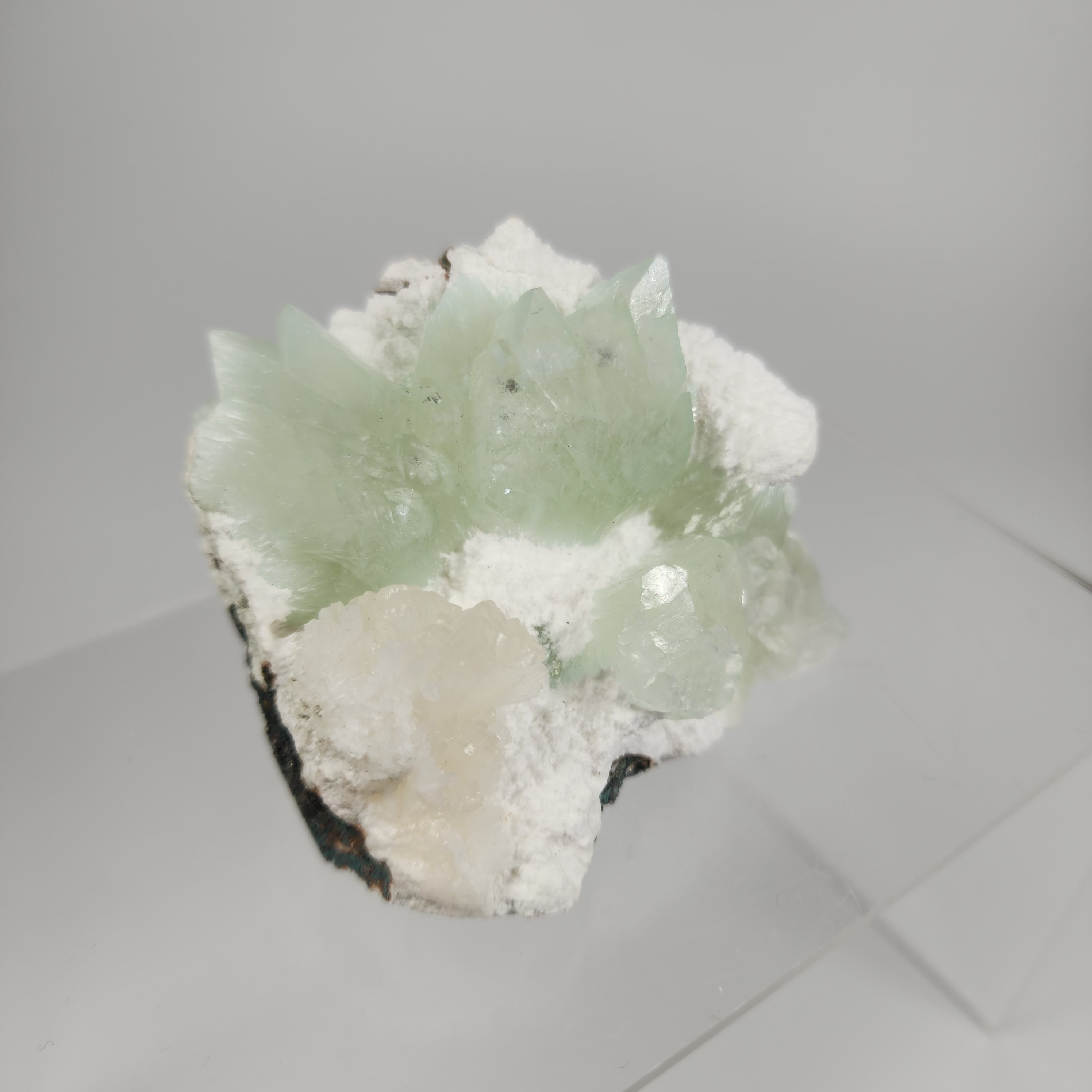 Flowered Green Apophyllite on Mordenite Specimen #3 from Pune District, Maharashtra, India