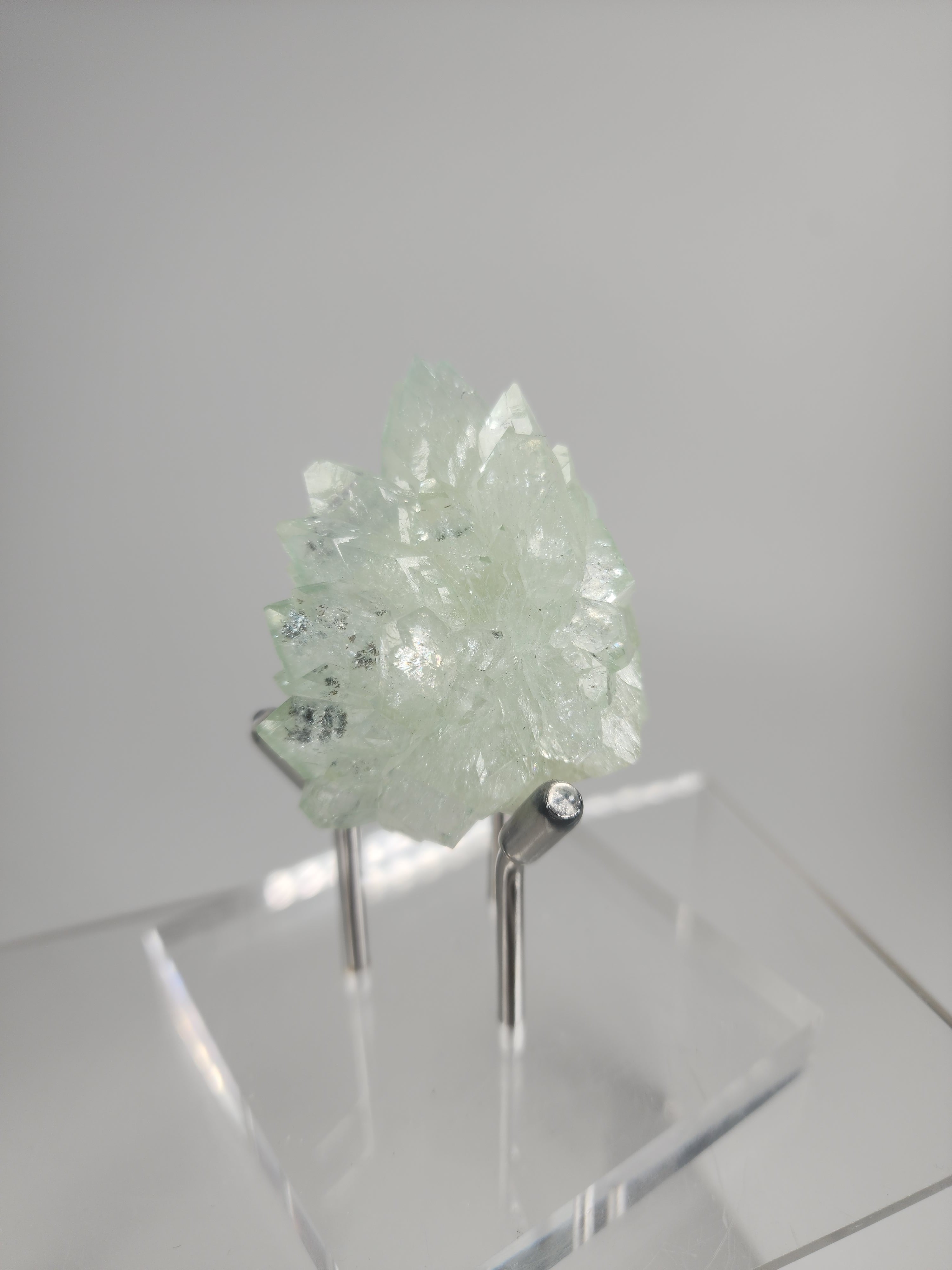 Flowered Green Apophyllite on Mordenite Specimen #7 from Pune District, Maharashtra, India