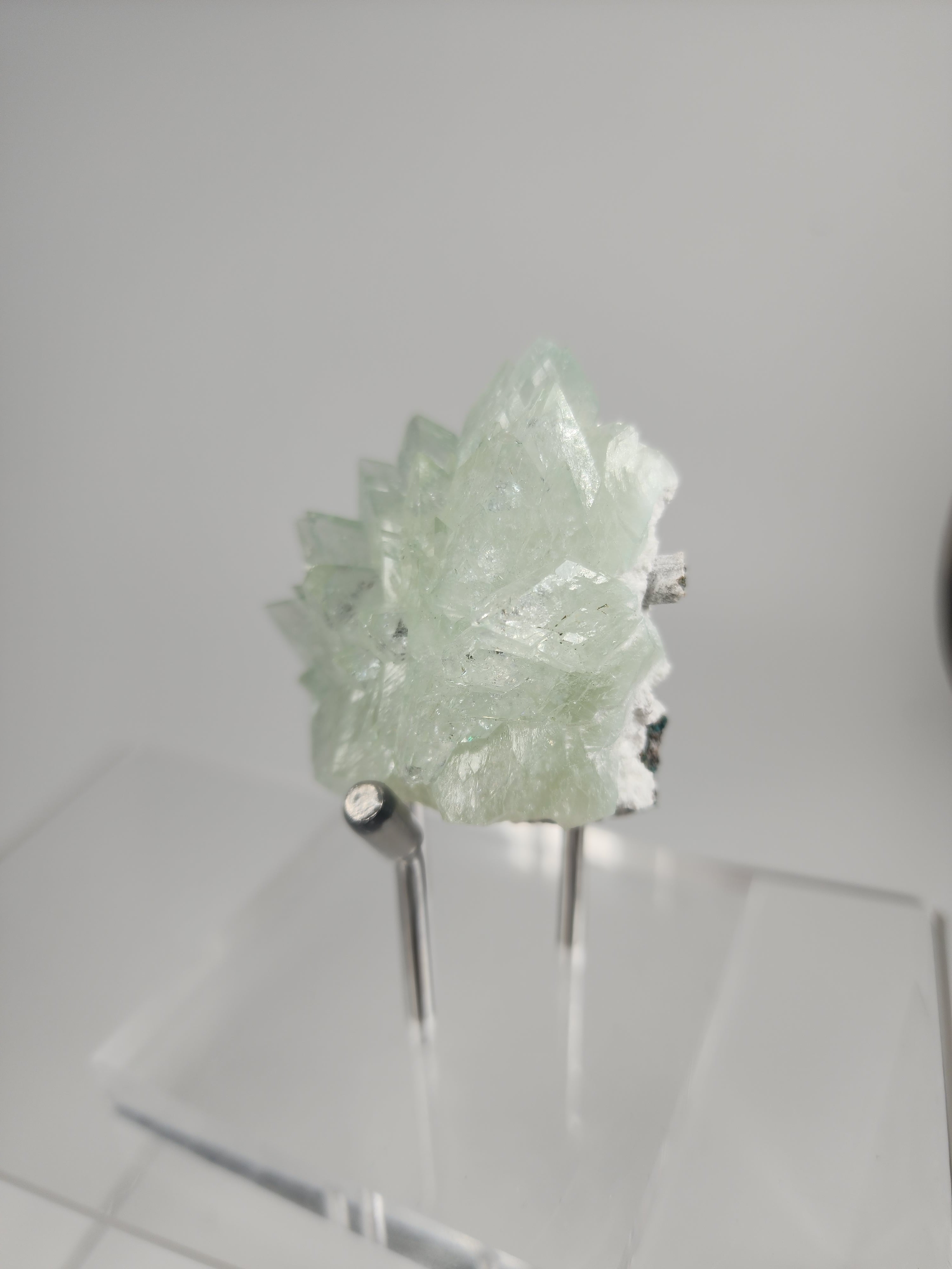 Flowered Green Apophyllite on Mordenite Specimen #7 from Pune District, Maharashtra, India