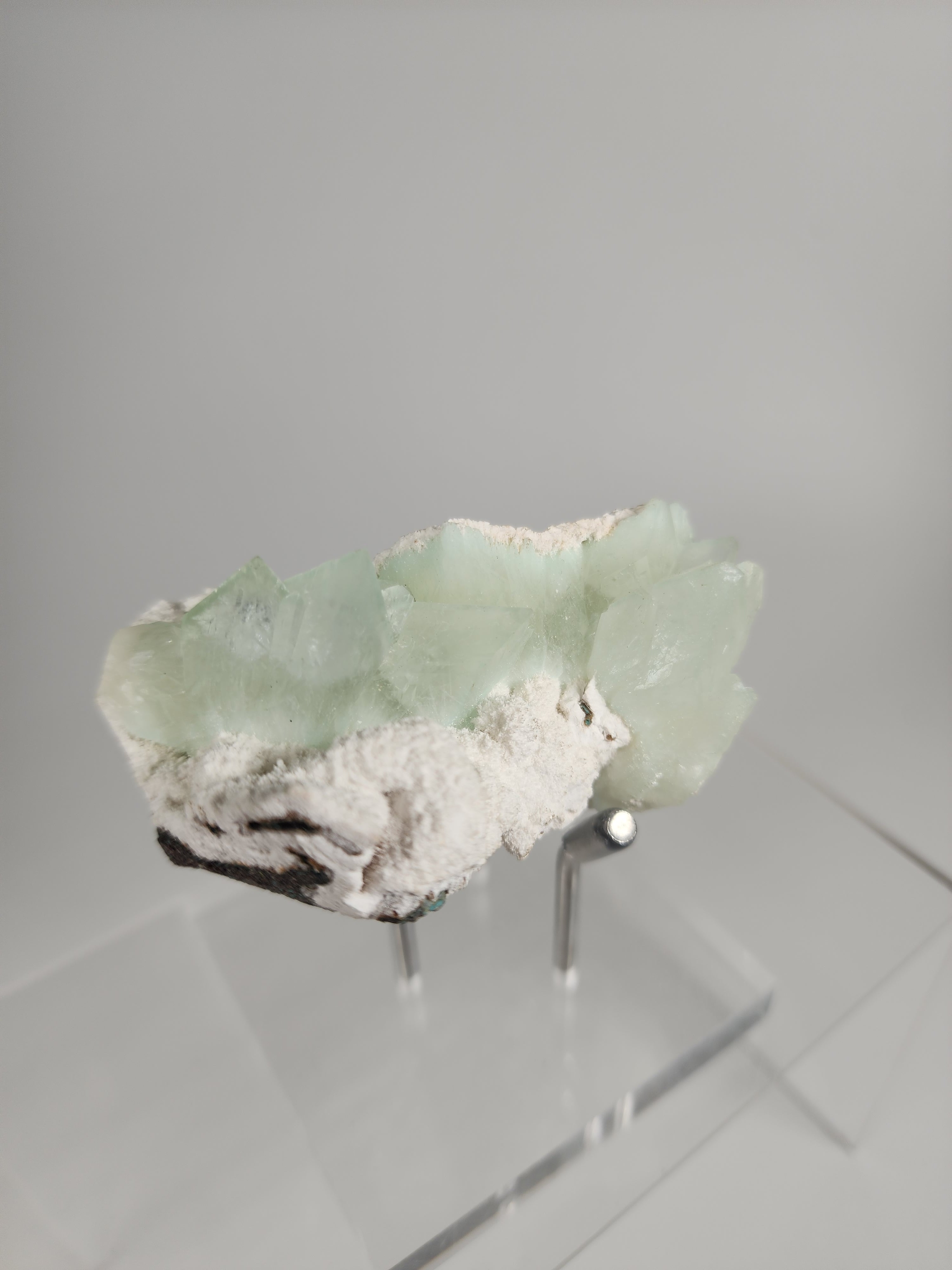 Flowered Green Apophyllite on Mordenite Specimen #9 from Pune District, Maharashtra, India