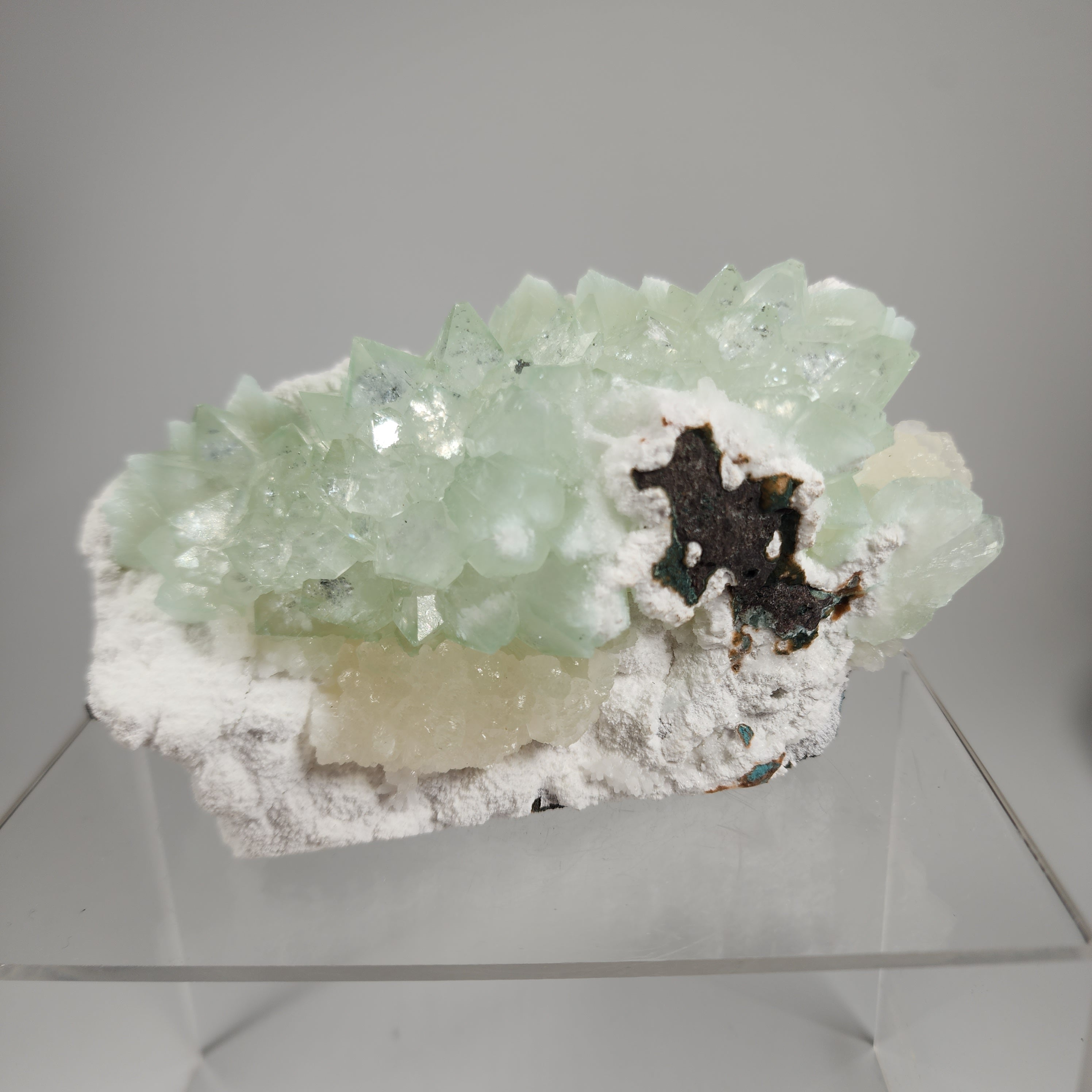 Flowered Green Apophyllite on Mordenite Specimen #11 from Pune District, Maharashtra, India