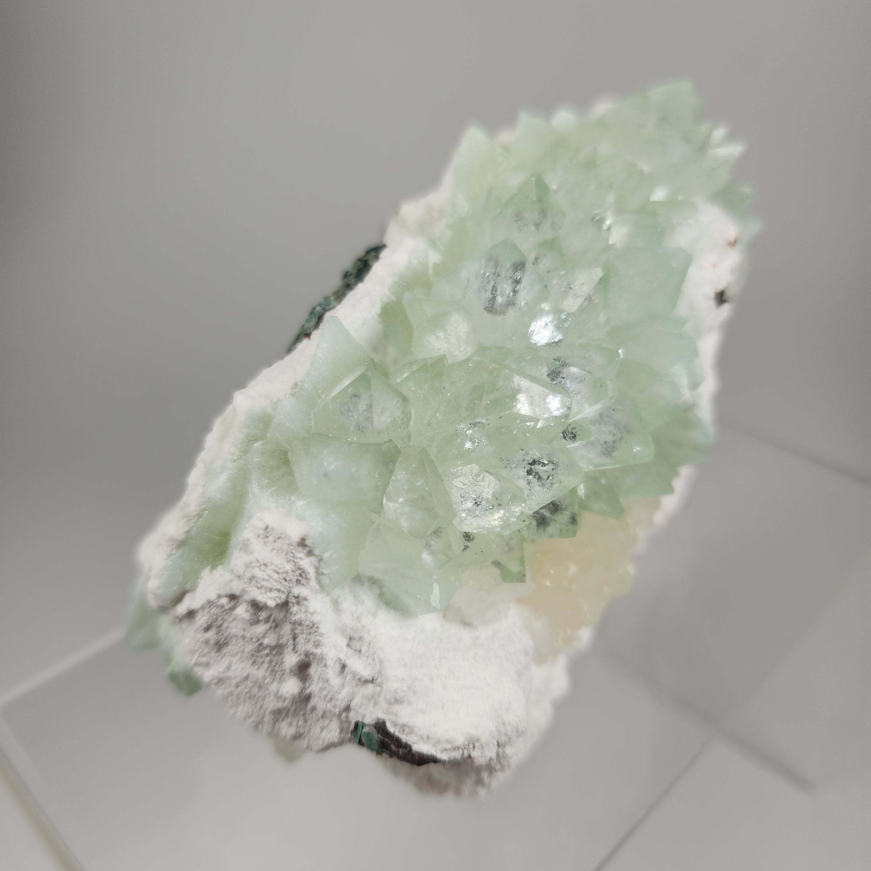 Flowered Green Apophyllite on Mordenite Specimen #11 from Pune District, Maharashtra, India