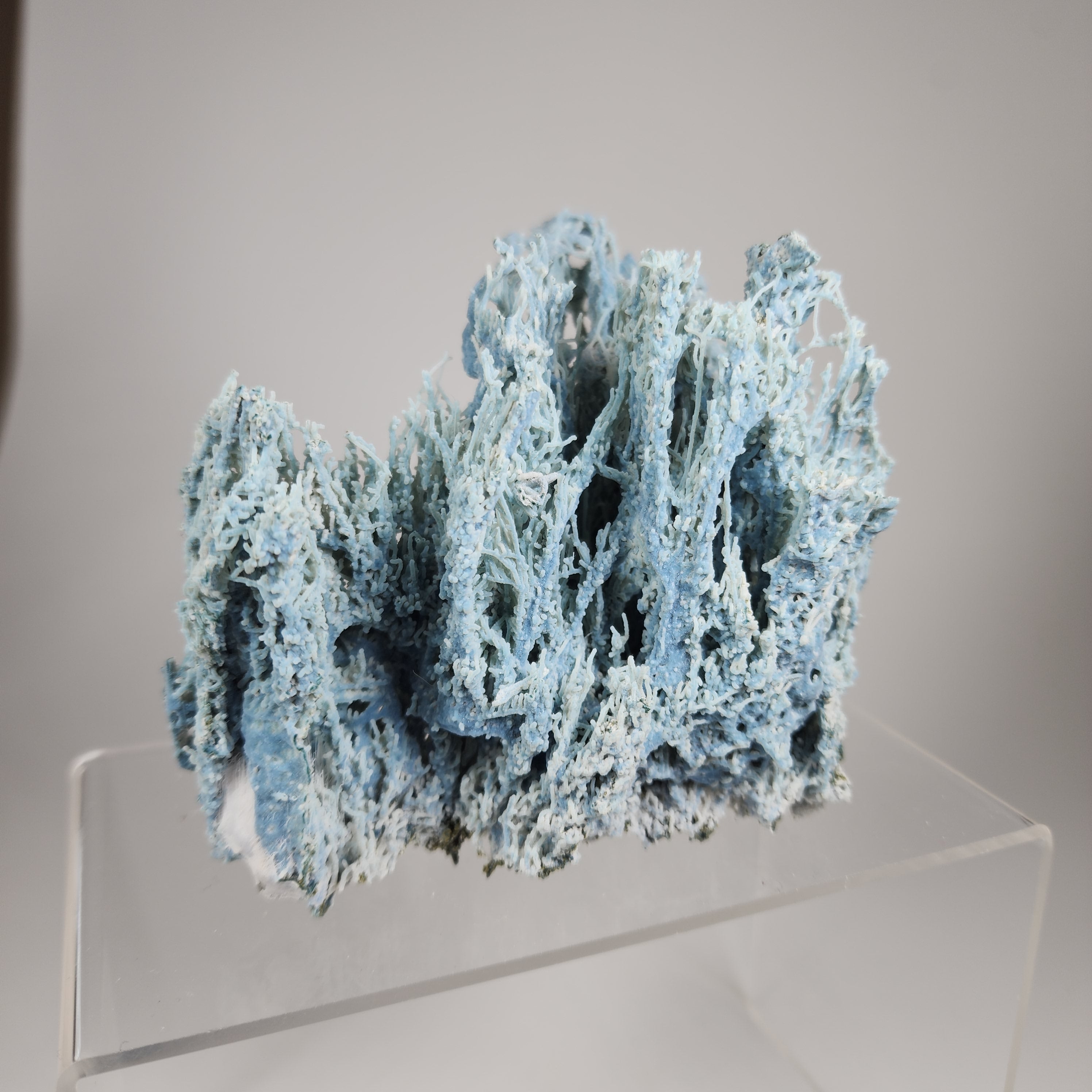 Blue Filigree Chalcedony Stalactite Specimen #1 from Aurangabad, Maharashtra, India