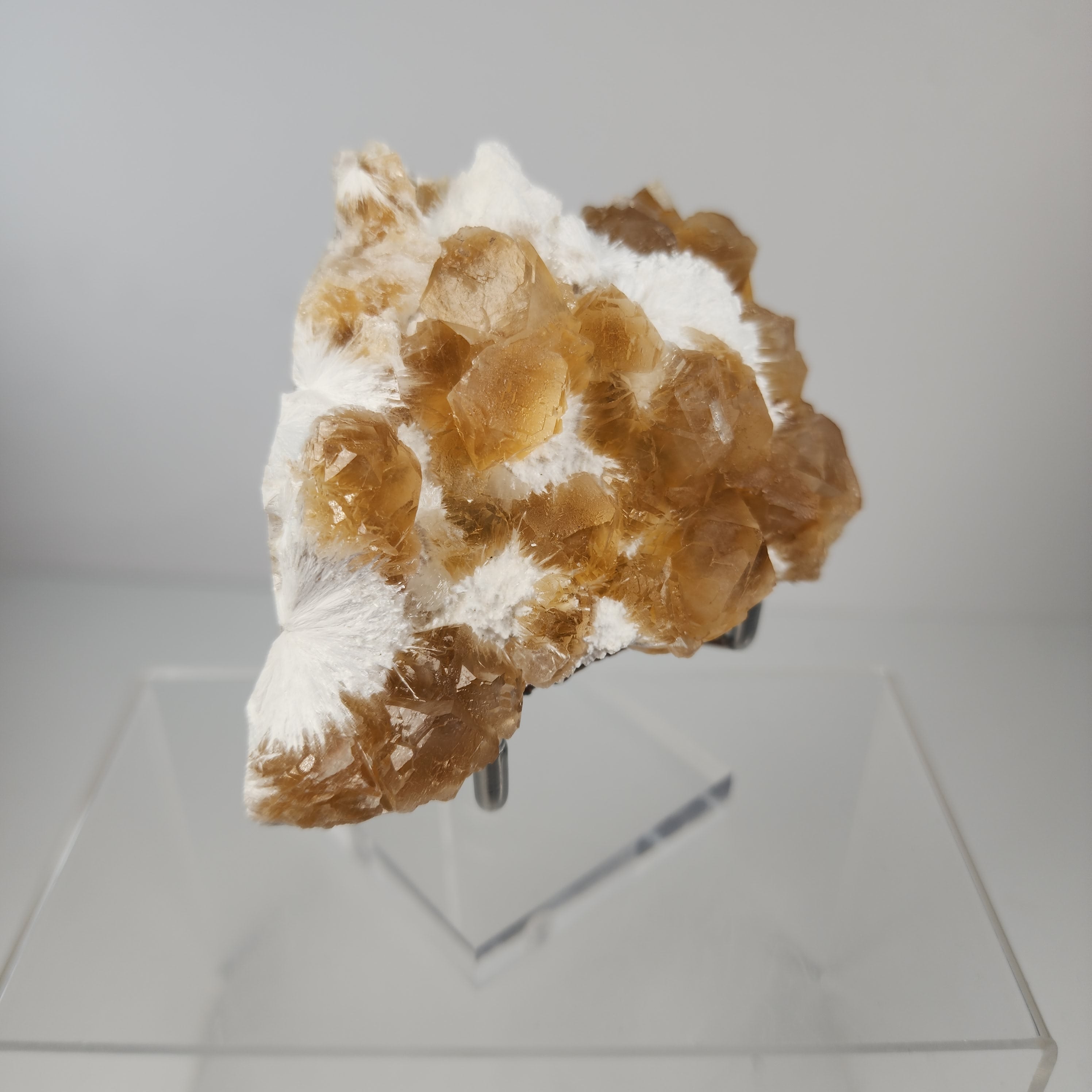 Honey Apophyllite - a Golden Hued Apophyllite with Mordenite, Okenite, Stilbite, & Chalcedony Specimen #6 from Maharashtra, India