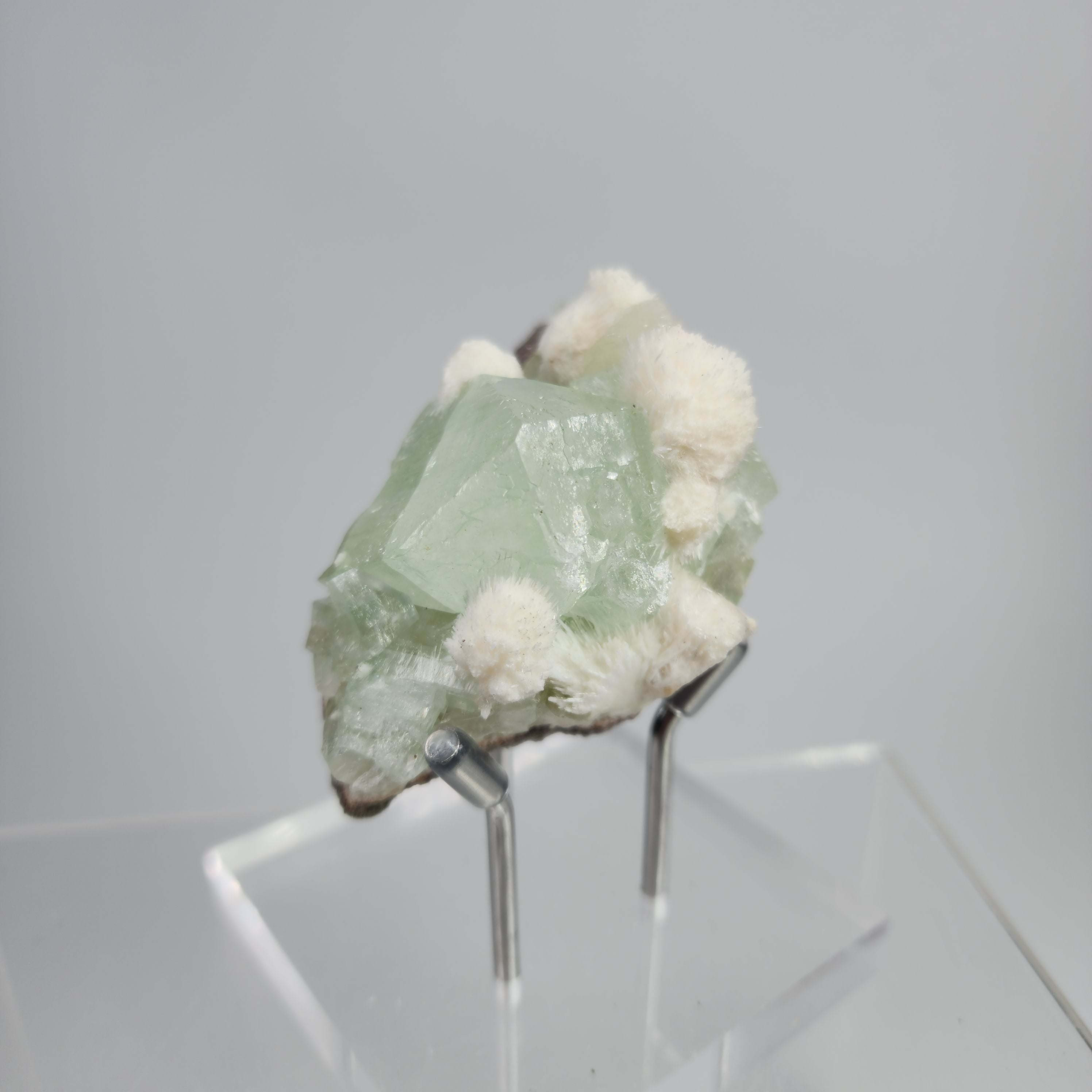 Okenite on Green Apophyllite Specimen #12 from Aurangabad, Maharashtra, India