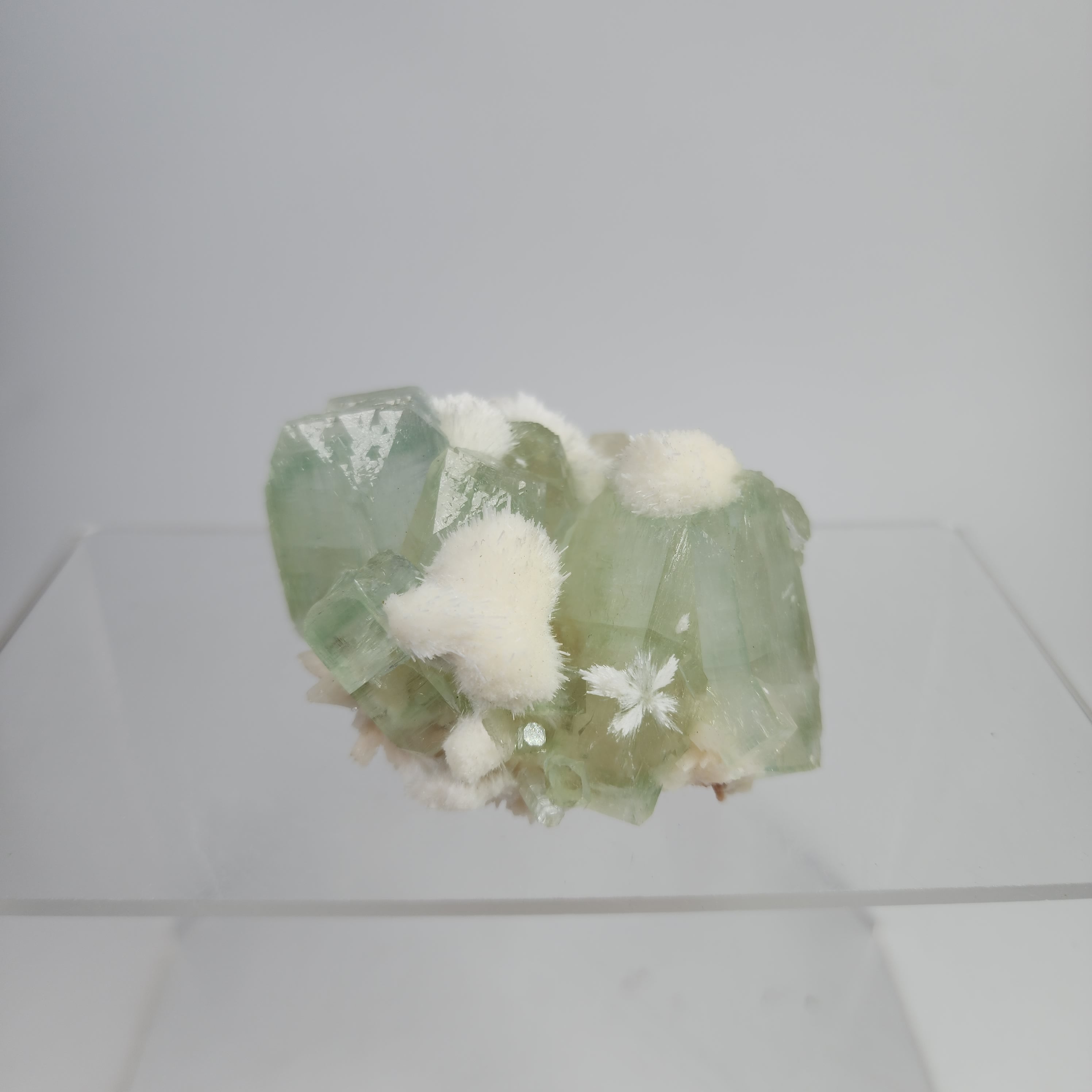 Okenite on Green Apophyllite Specimen #13 from Aurangabad, Maharashtra, India