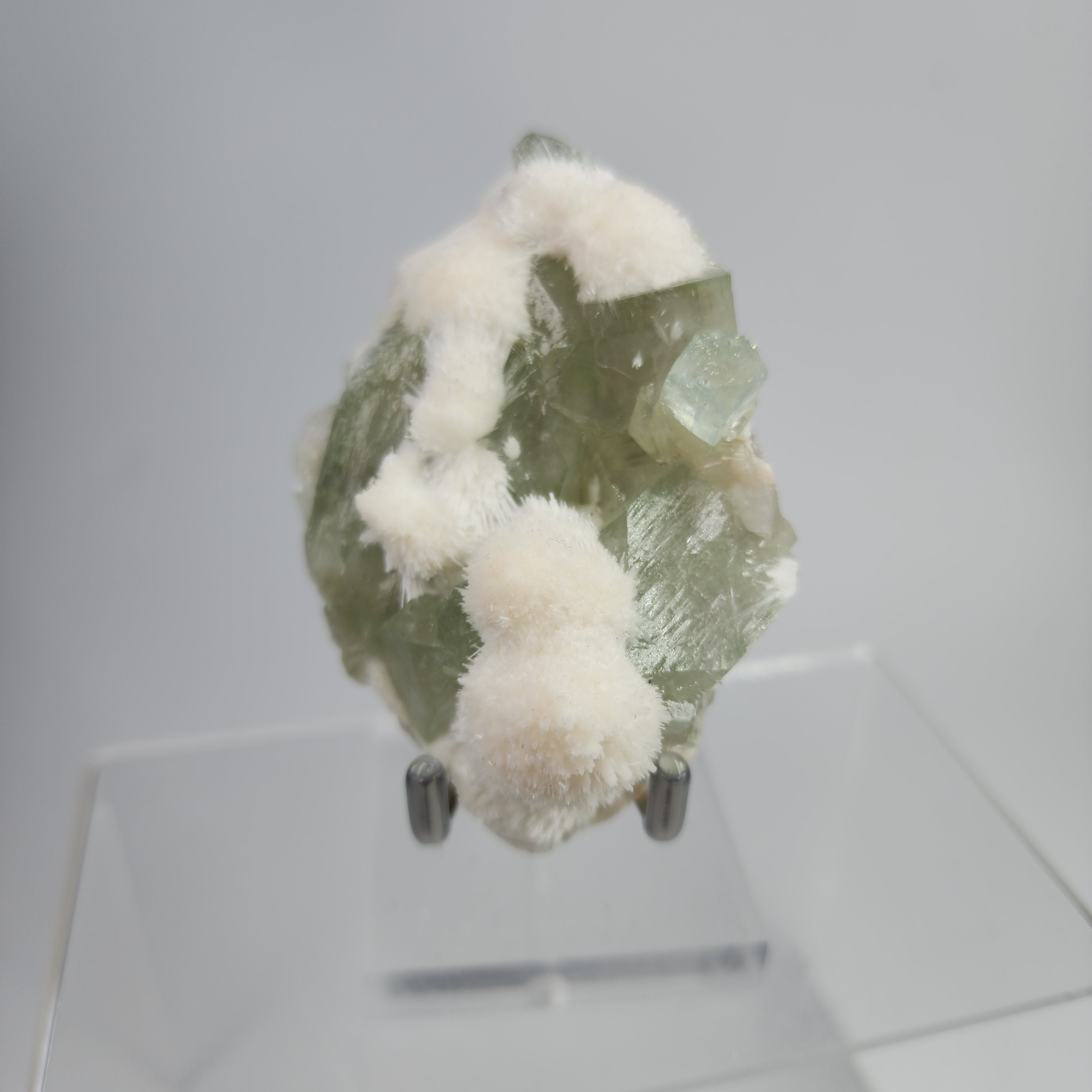 Okenite on Green Apophyllite Specimen #14 from Aurangabad, Maharashtra, India