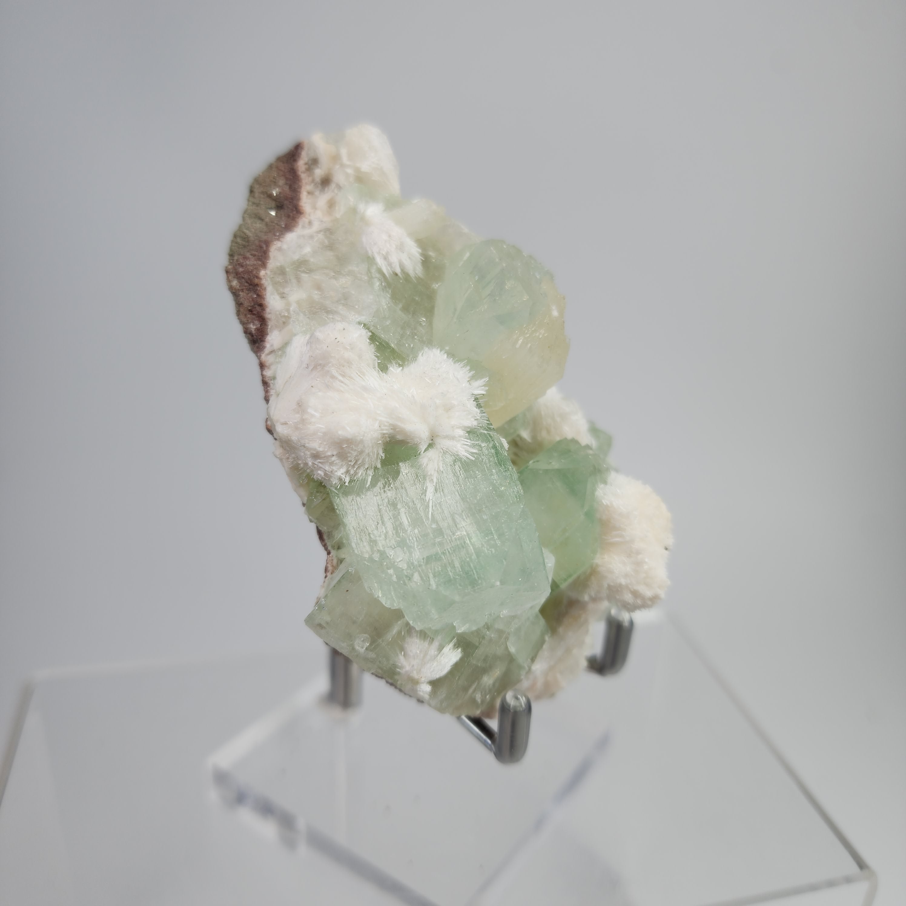 Okenite on Green Apophyllite Specimen #15 from Aurangabad, Maharashtra, India