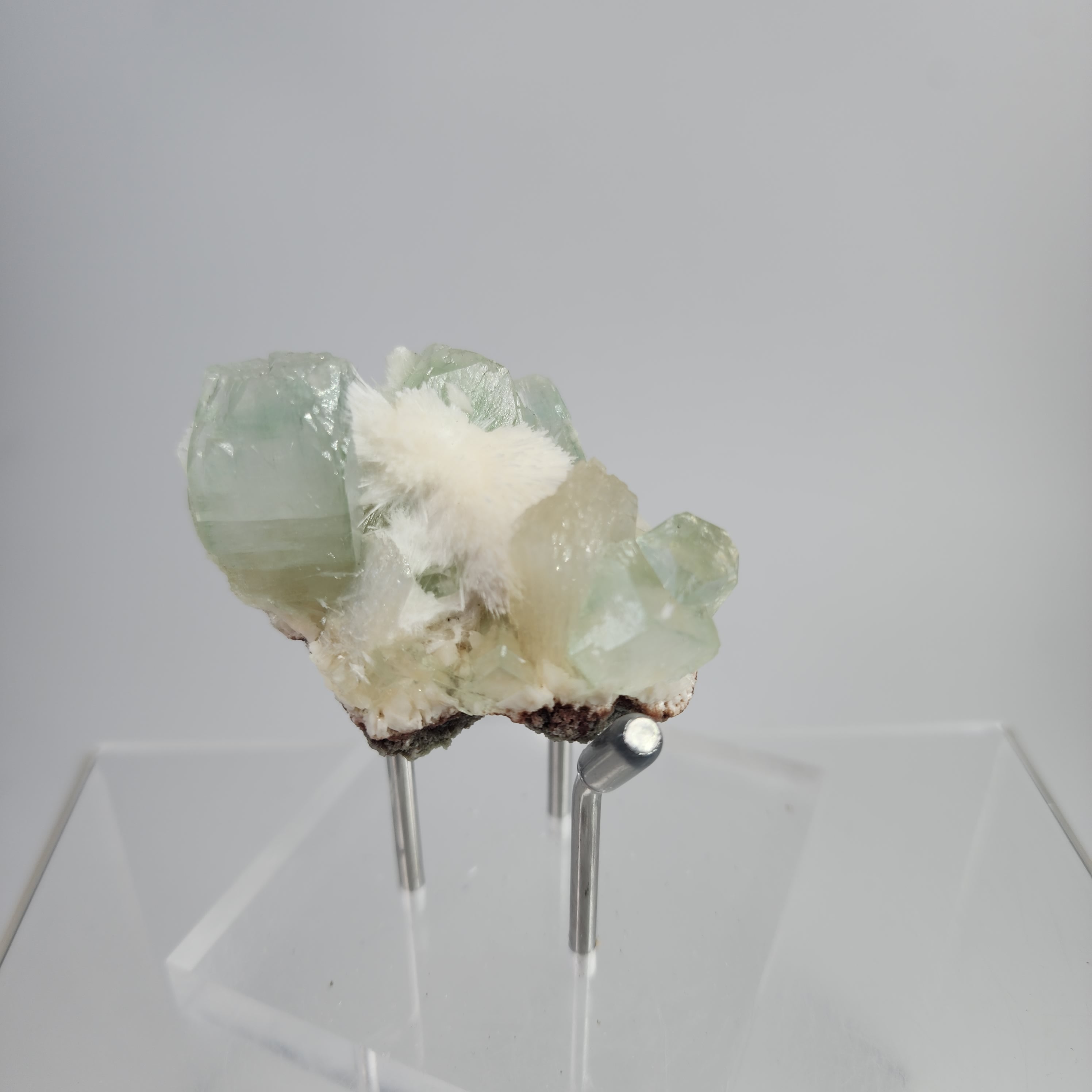 Okenite on Green Apophyllite Specimen #28 from Aurangabad, Maharashtra, India