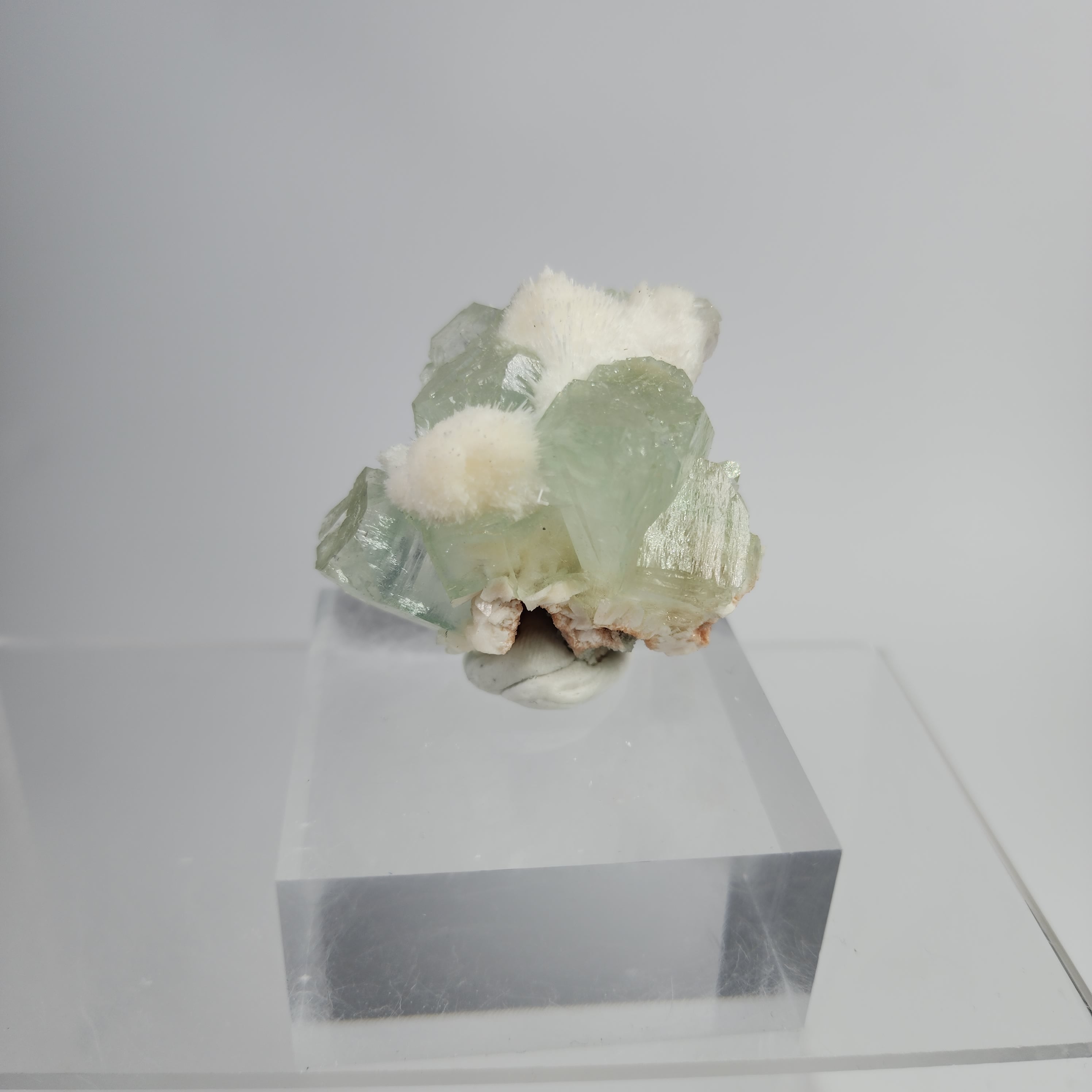 Okenite on Green Apophyllite Specimen #32 from Aurangabad, Maharashtra, India