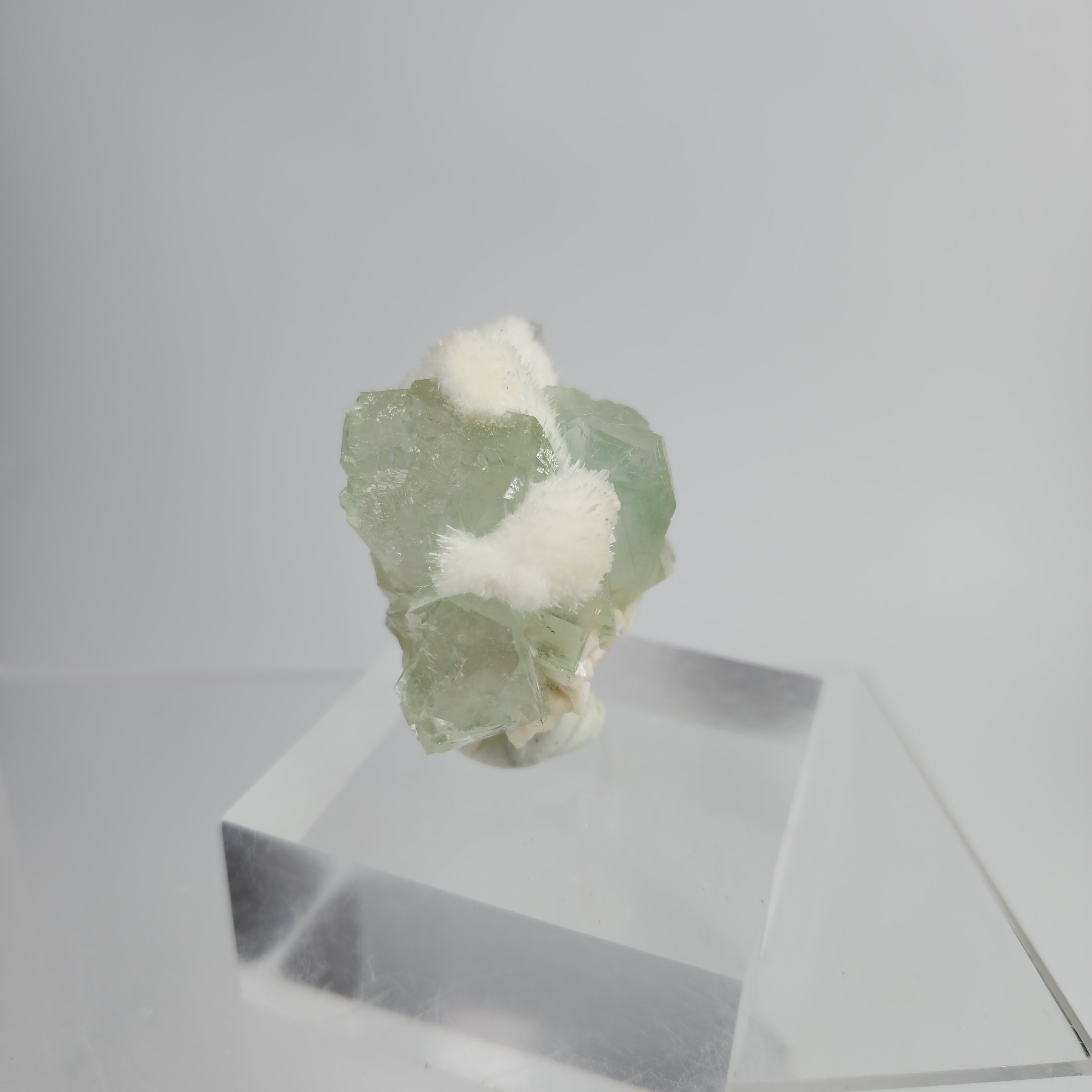 Okenite on Green Apophyllite Specimen #32 from Aurangabad, Maharashtra, India