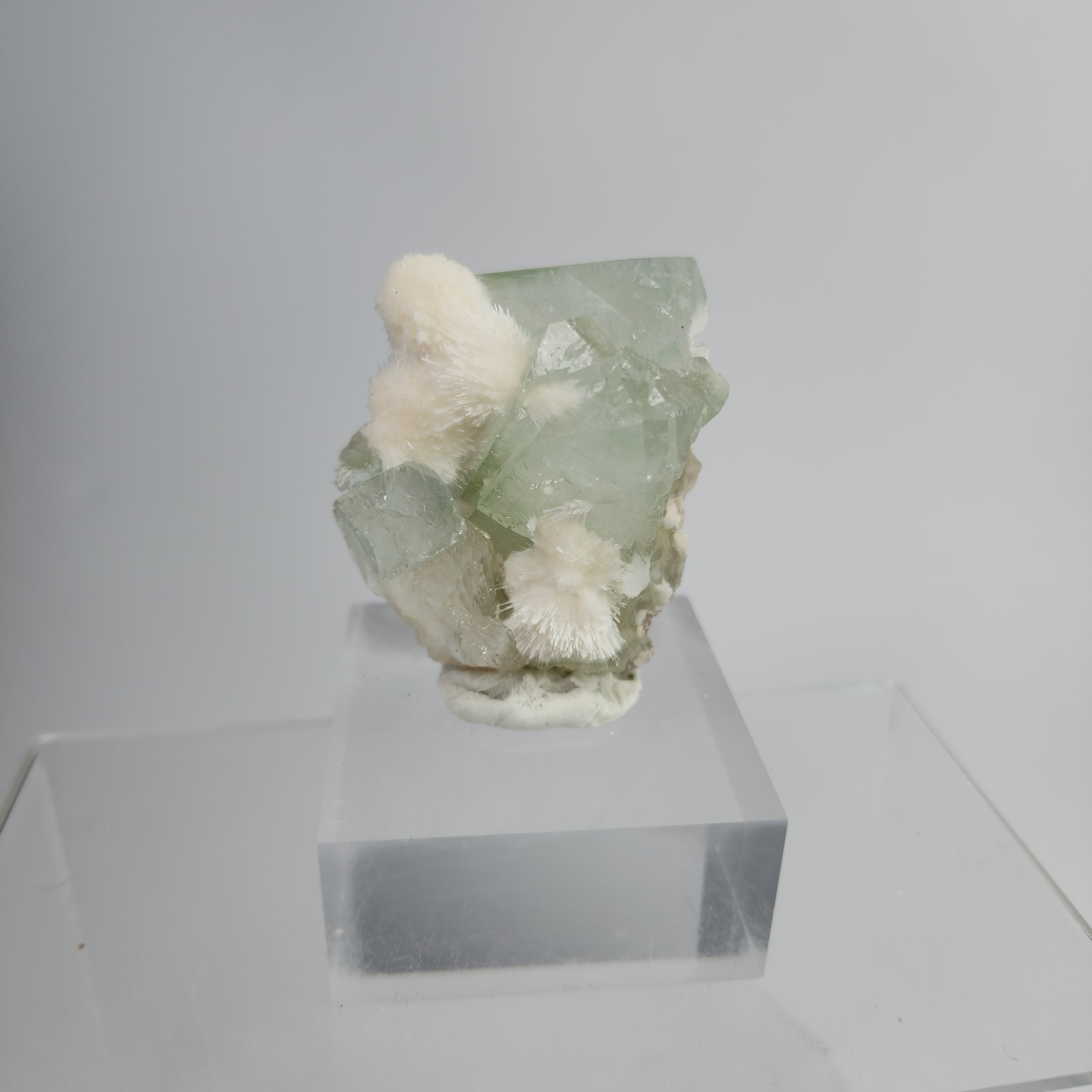 Okenite on Green Apophyllite Specimen #38 from Aurangabad, Maharashtra, India