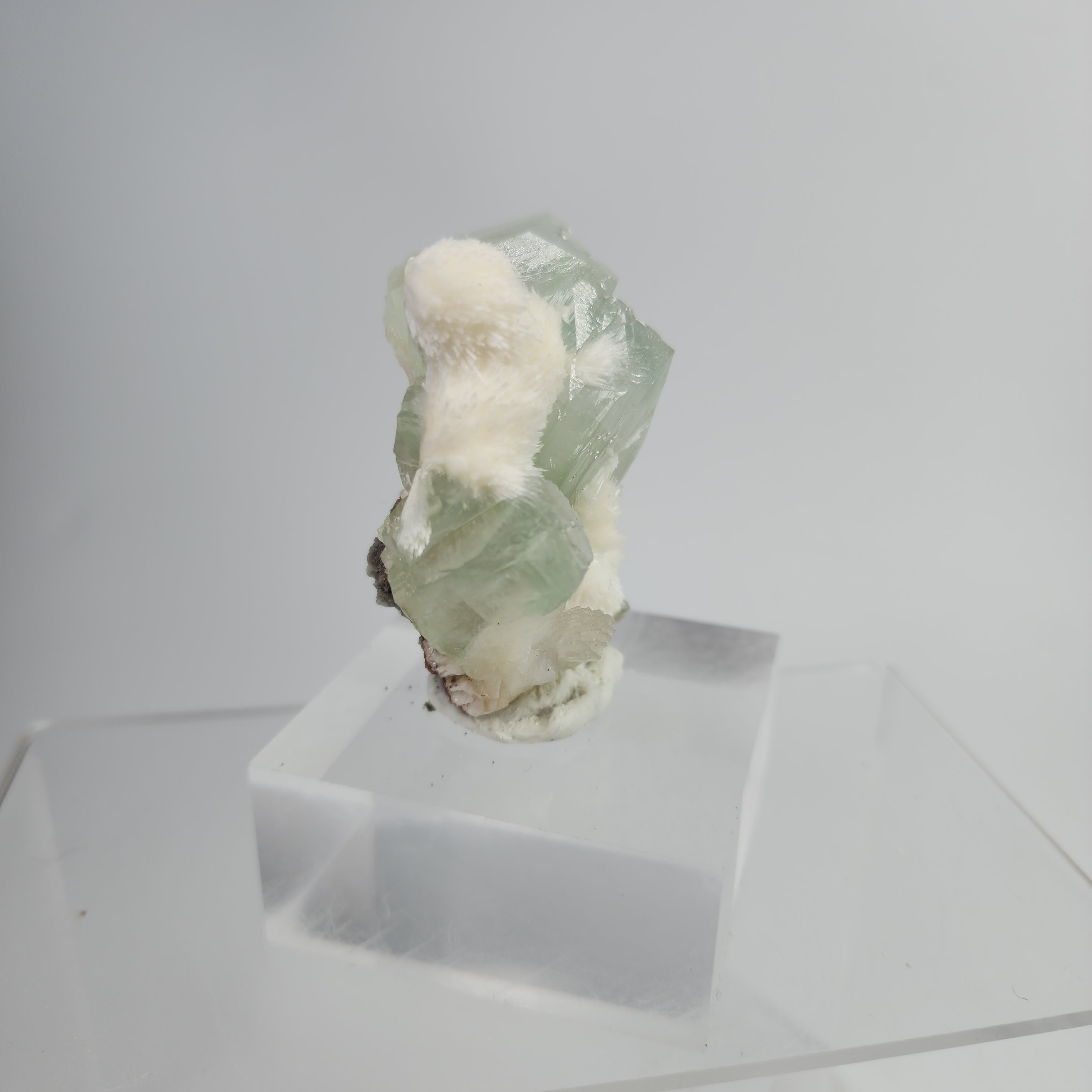 Okenite on Green Apophyllite Specimen #38 from Aurangabad, Maharashtra, India