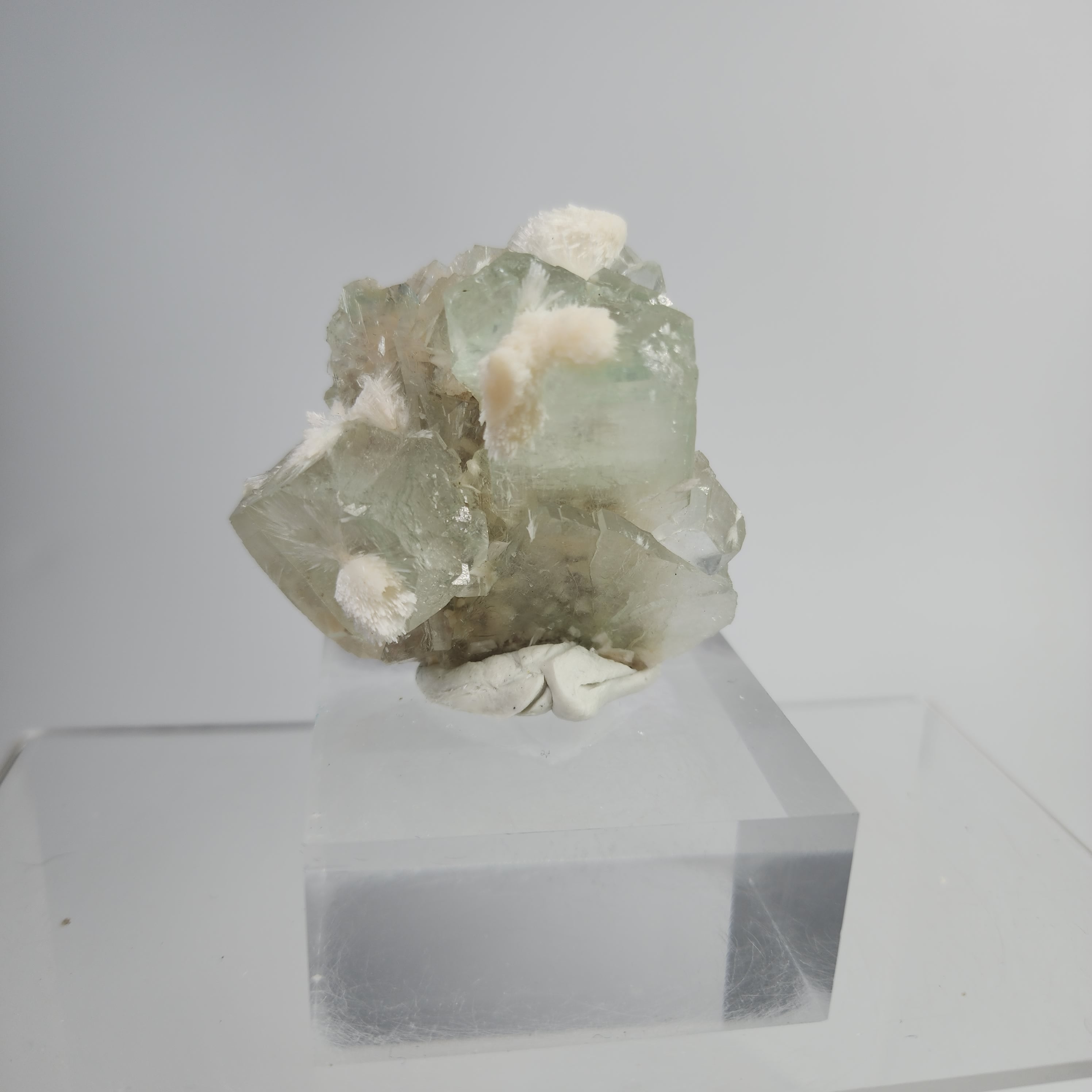 Okenite on Green Apophyllite Specimen #39 from Aurangabad, Maharashtra, India