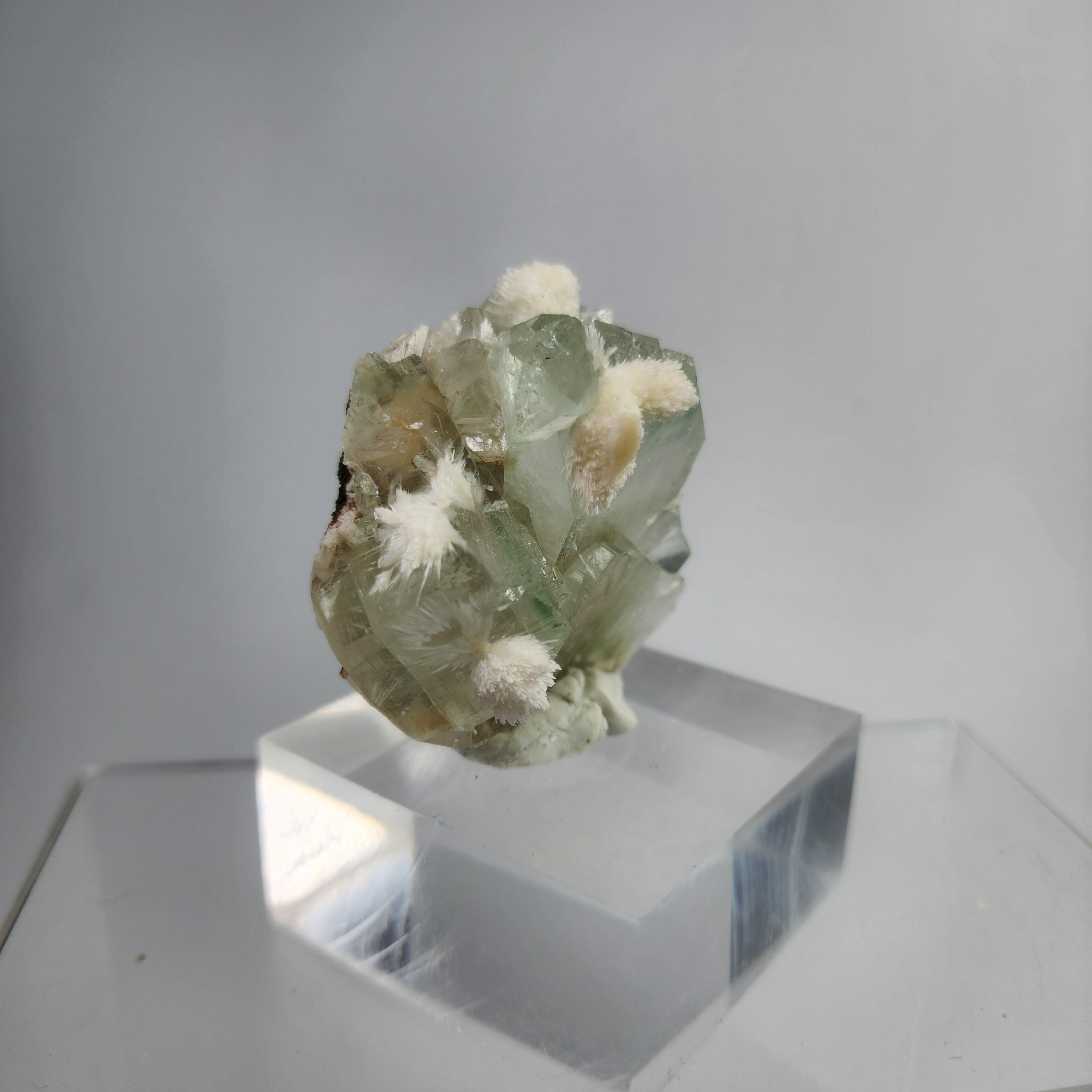 Okenite on Green Apophyllite Specimen #39 from Aurangabad, Maharashtra, India