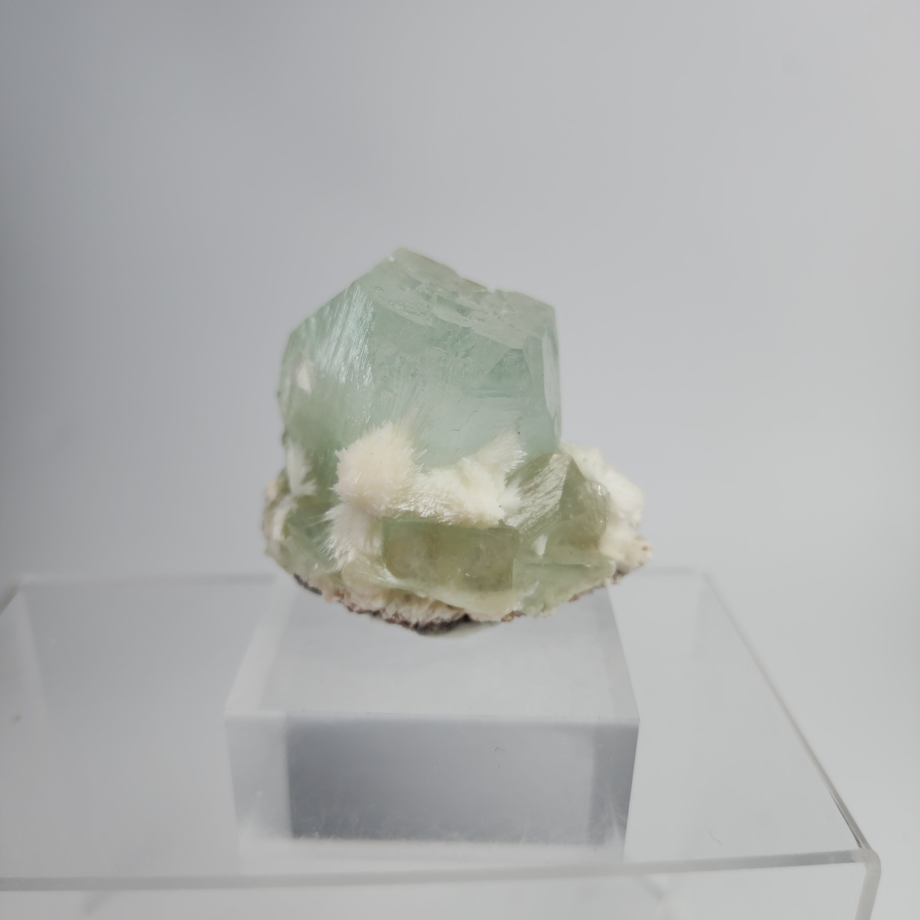 Okenite on Green Apophyllite Specimen #43 from Aurangabad, Maharashtra, India