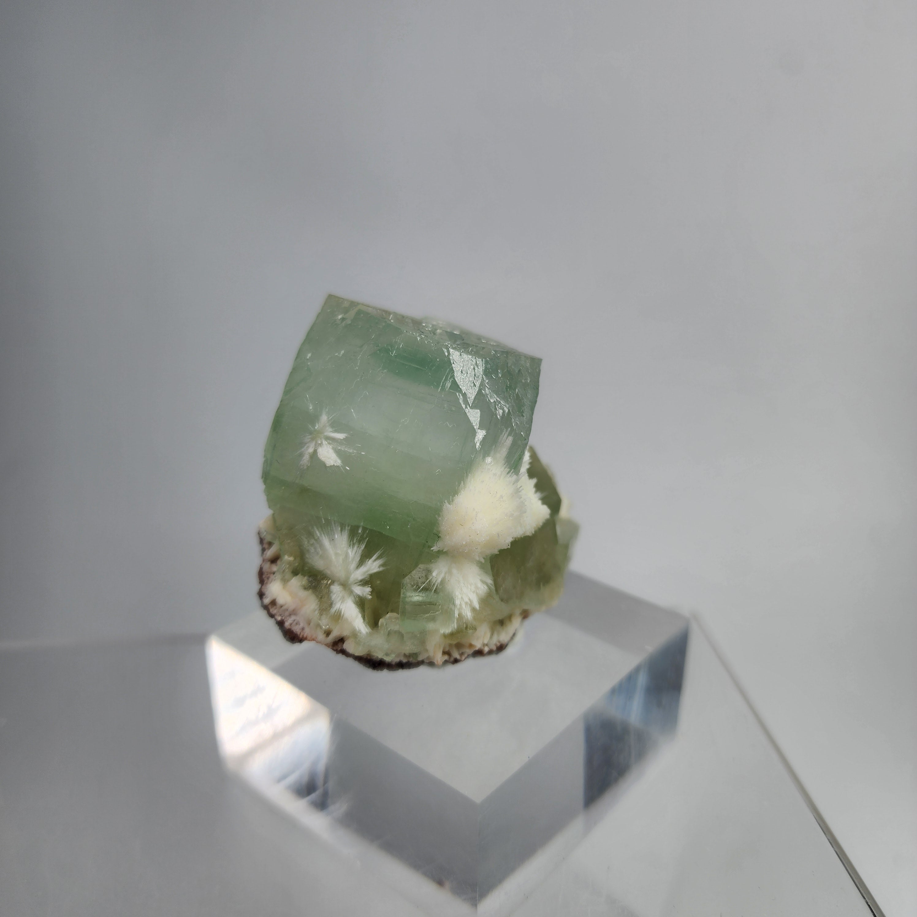 Okenite on Green Apophyllite Specimen #43 from Aurangabad, Maharashtra, India