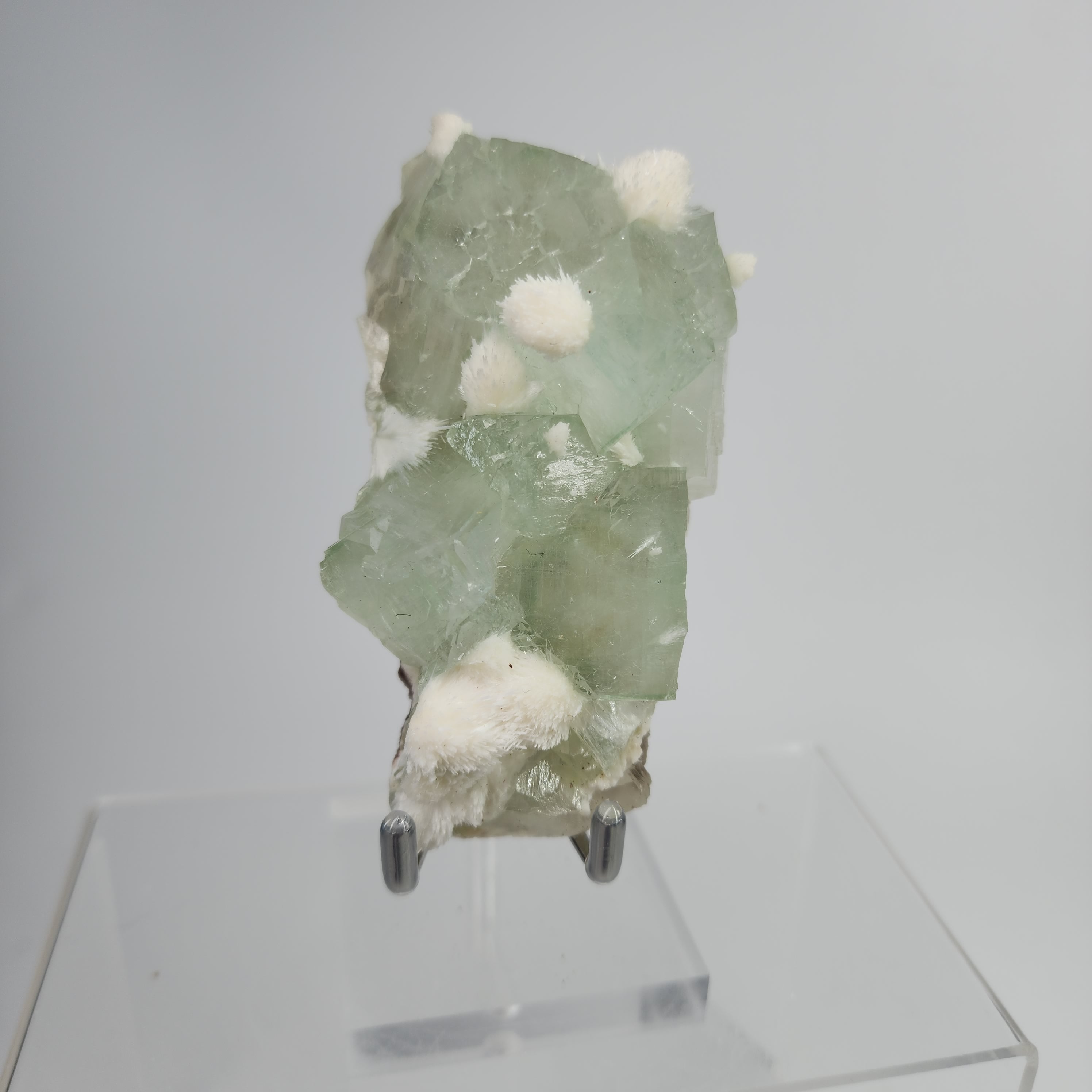 Okenite on Green Apophyllite Specimen #48 from Aurangabad, Maharashtra, India