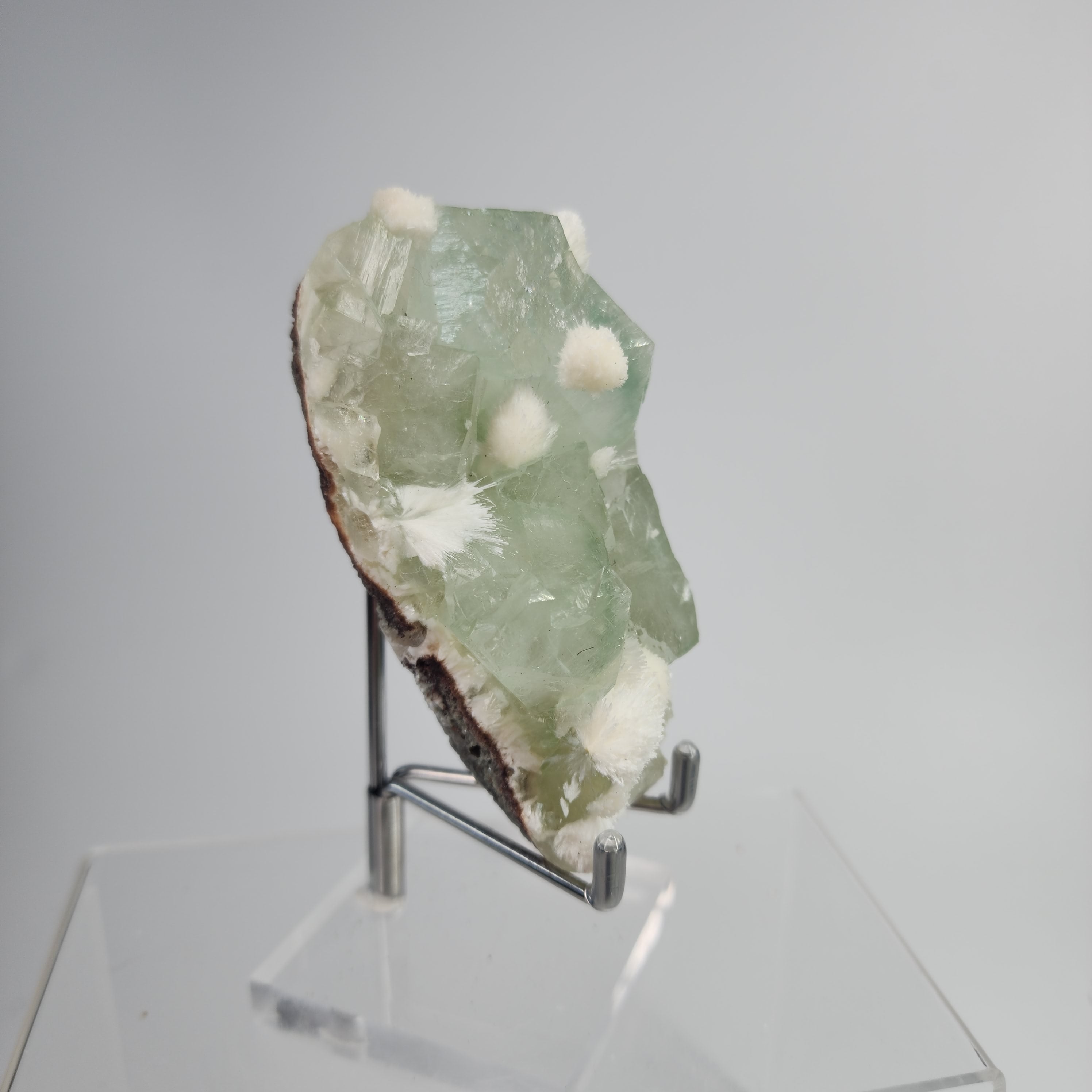 Okenite on Green Apophyllite Specimen #48 from Aurangabad, Maharashtra, India