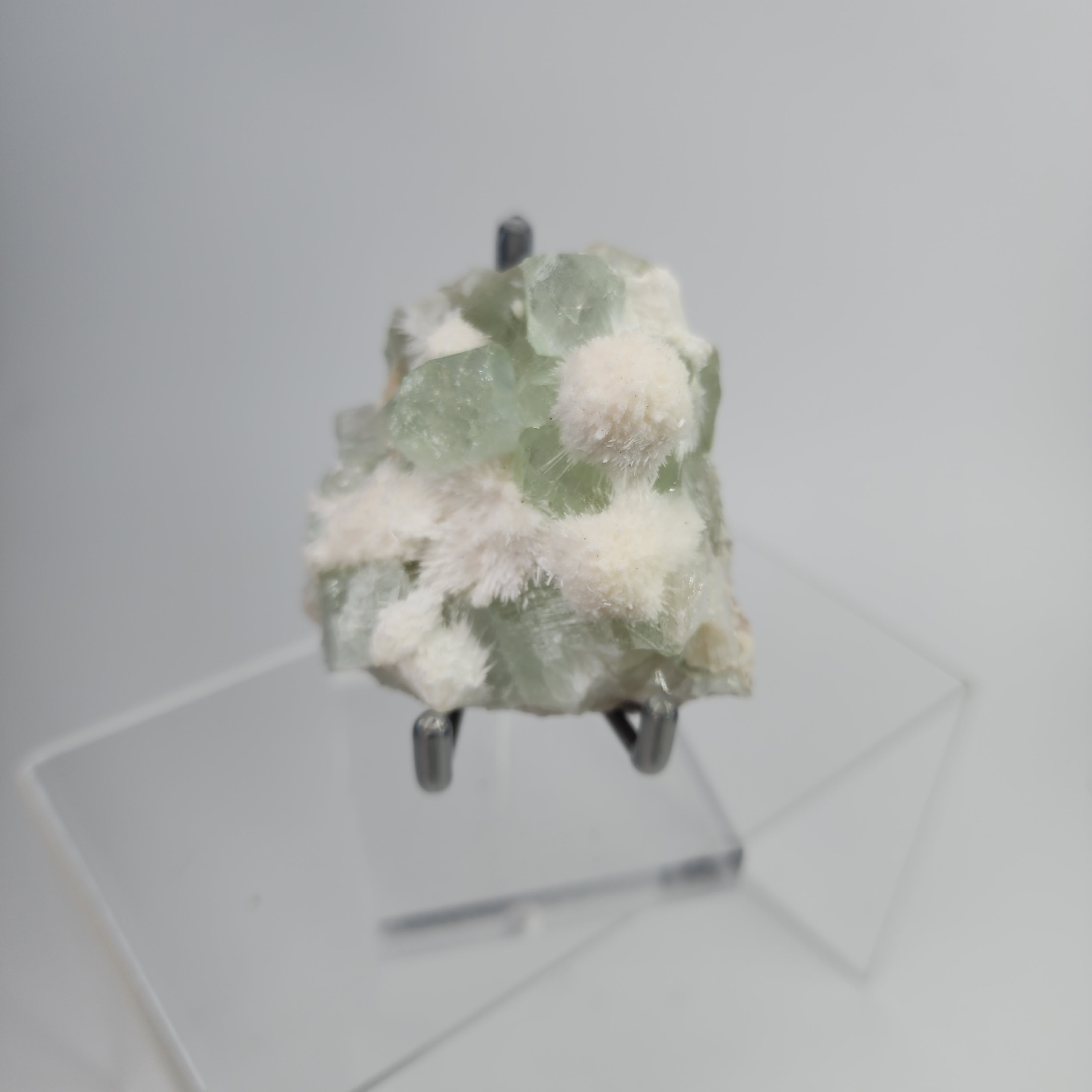 Okenite on Green Apophyllite Specimen #49 from Aurangabad, Maharashtra, India