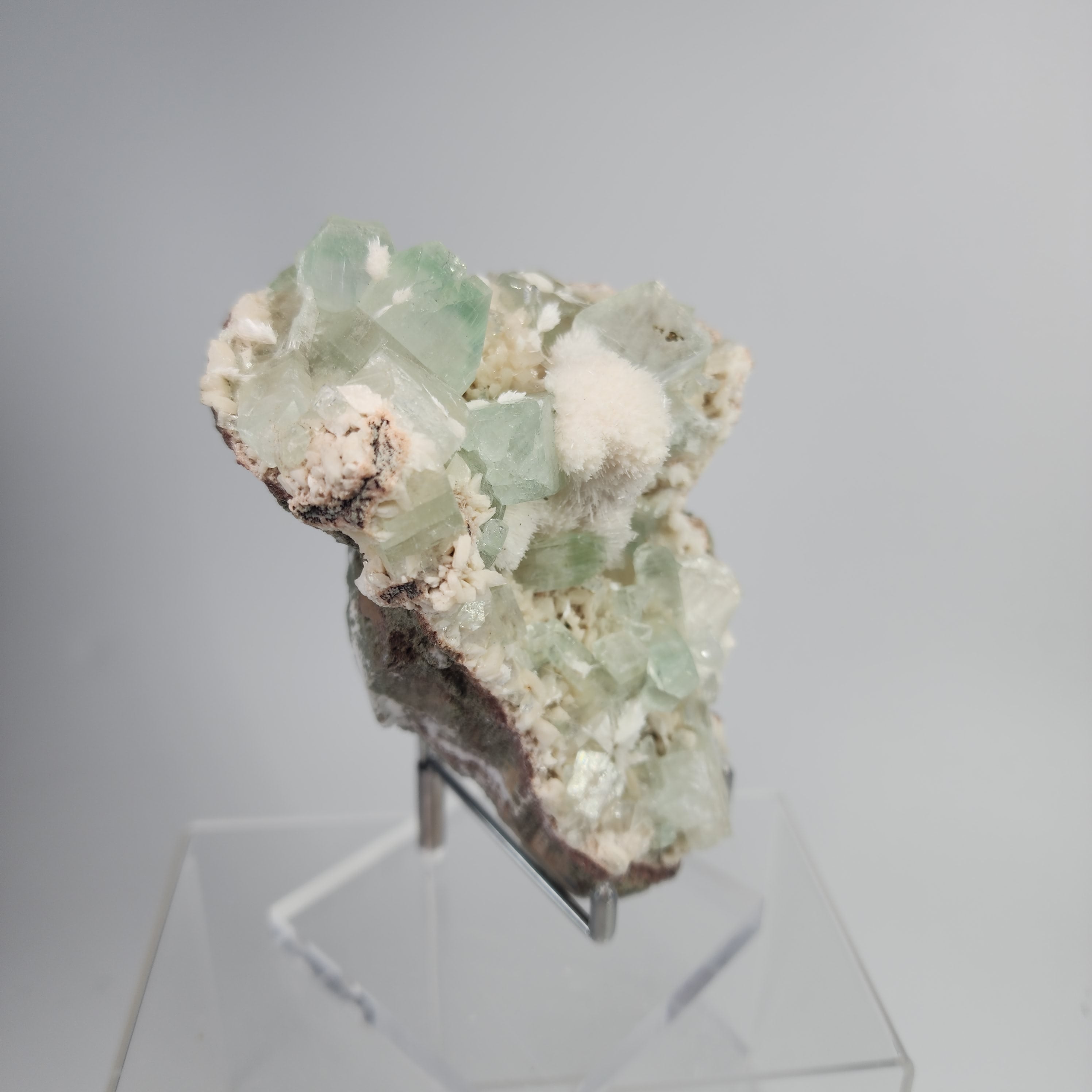 Okenite on Green Apophyllite Specimen #51 from Aurangabad, Maharashtra, India