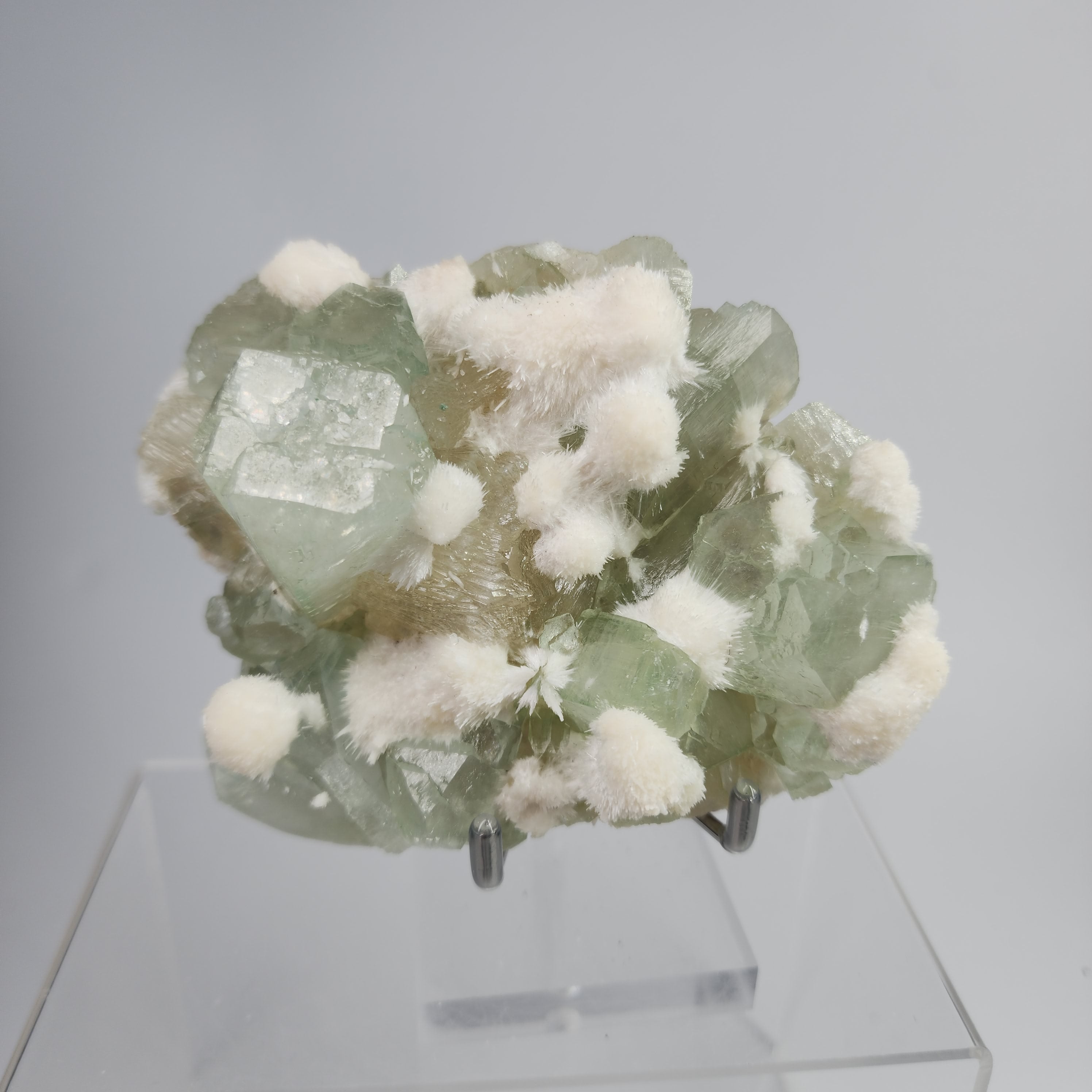 Okenite on Green Apophyllite Specimen #58 from Aurangabad, Maharashtra, India