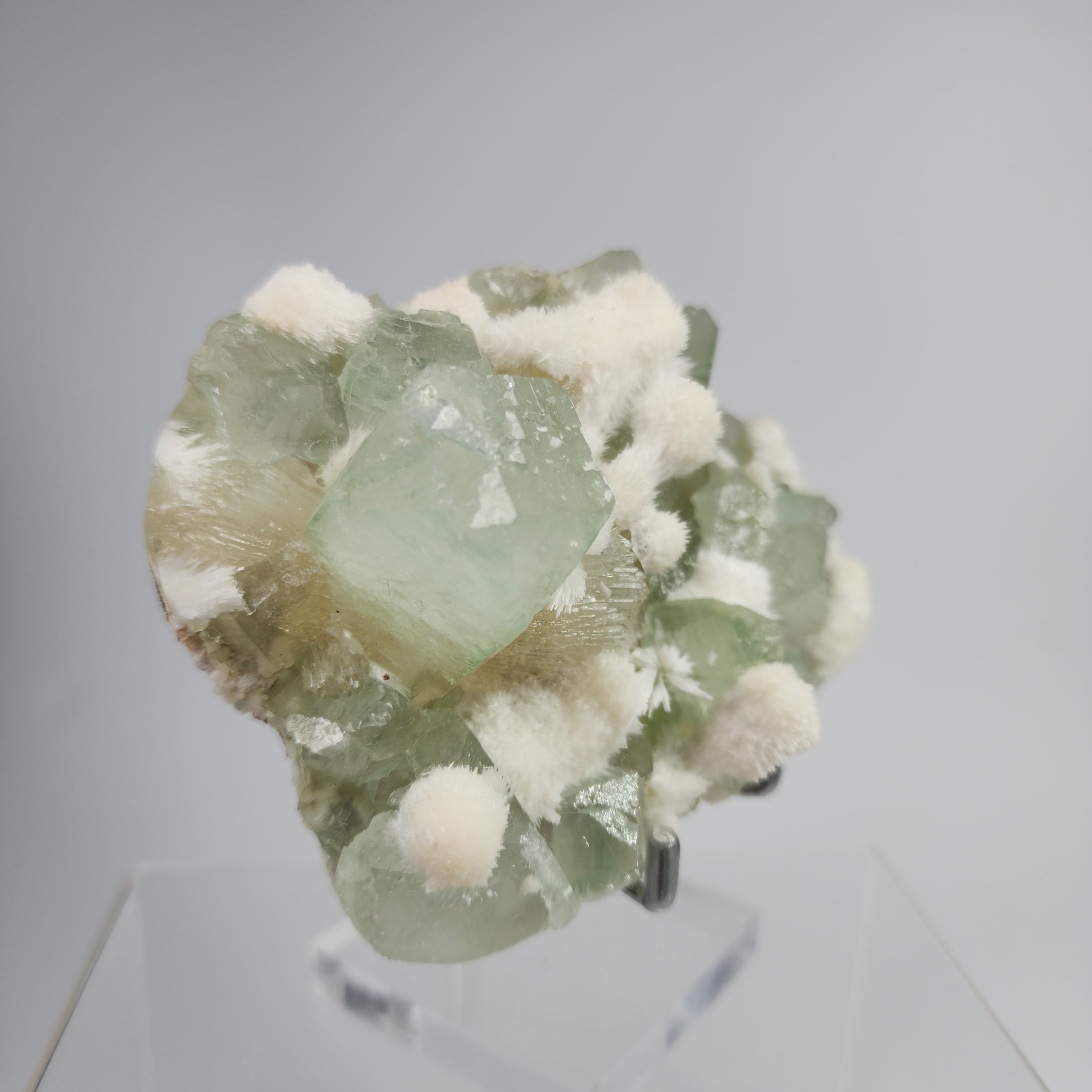 Okenite on Green Apophyllite Specimen #58 from Aurangabad, Maharashtra, India