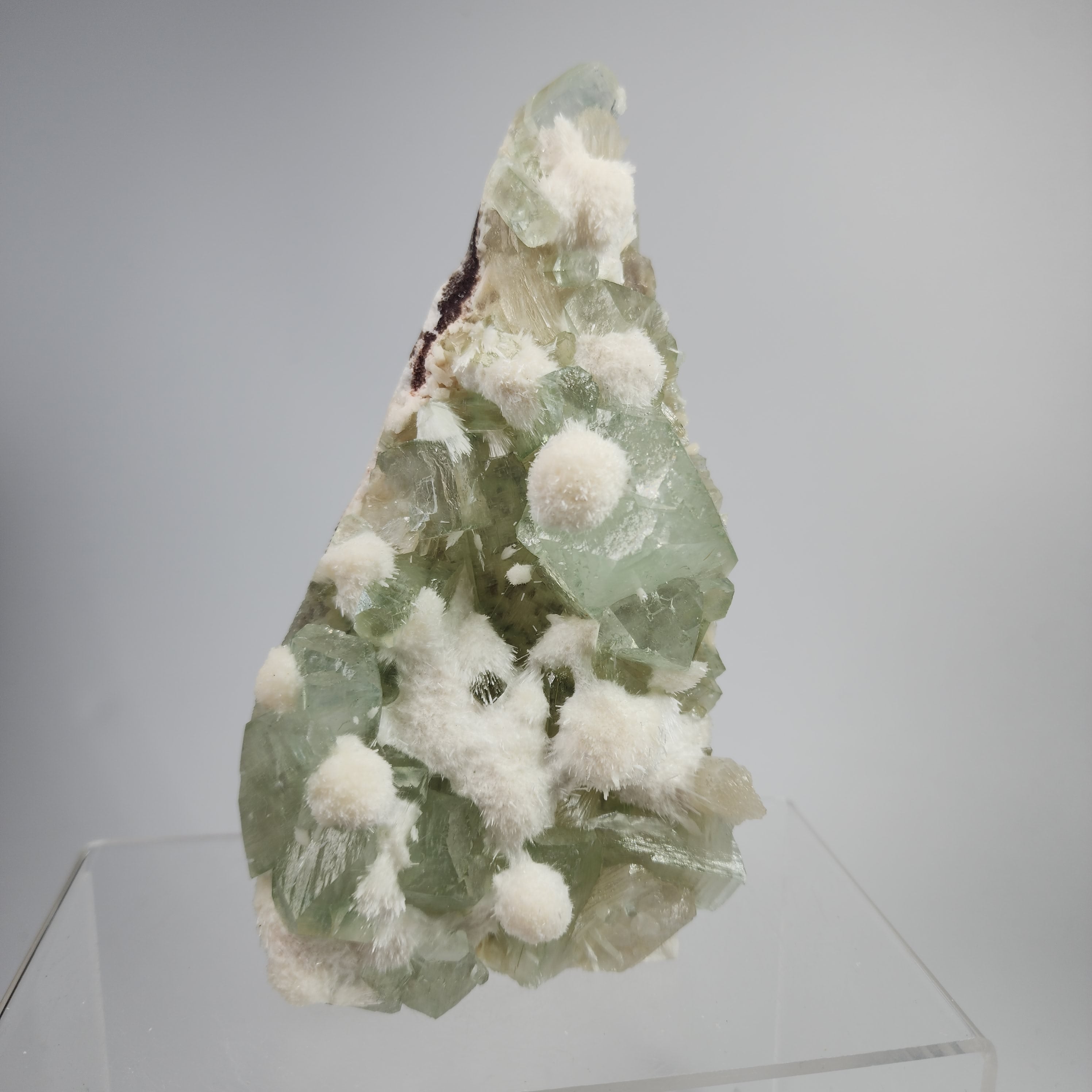 Okenite on Green Apophyllite Specimen #59 from Aurangabad, Maharashtra, India