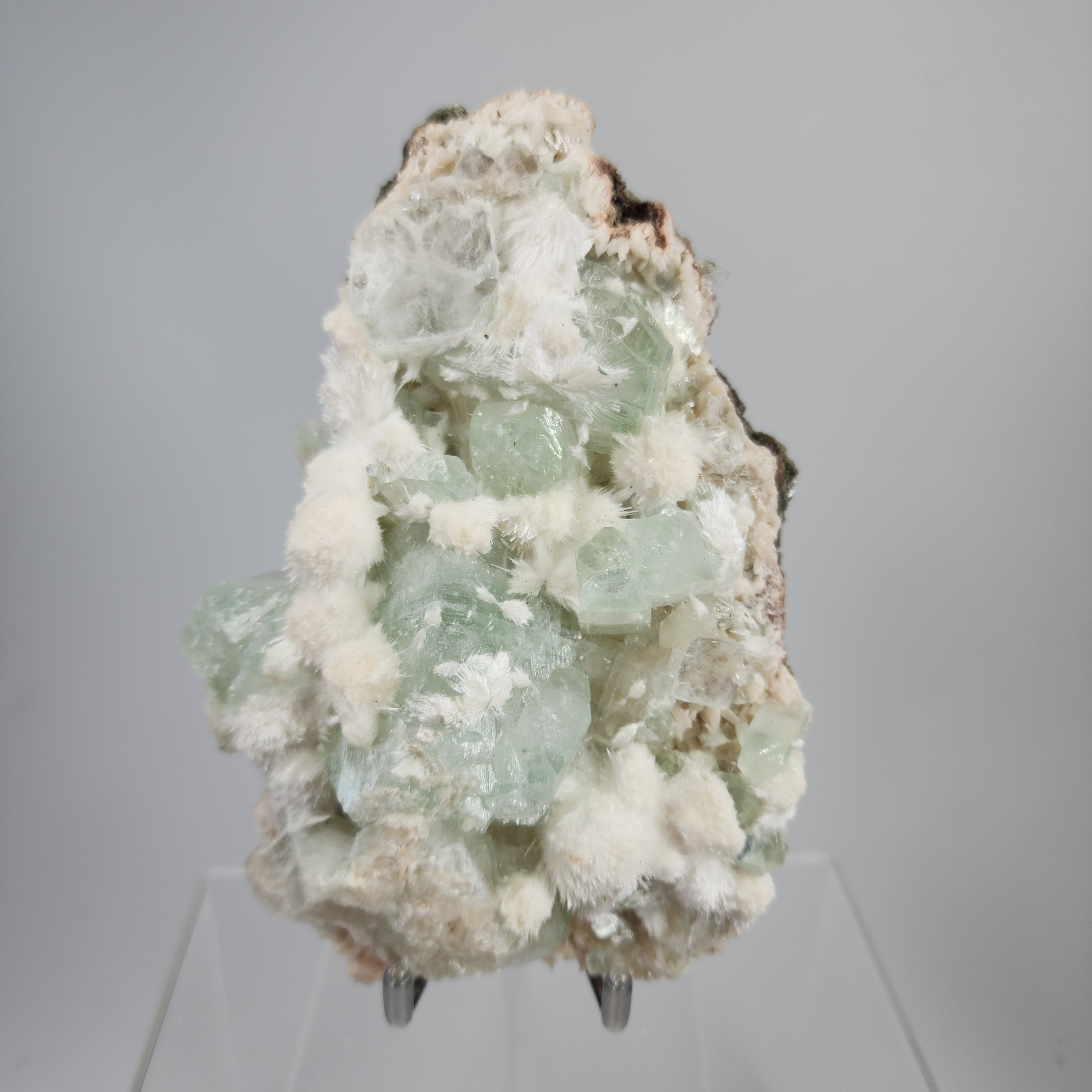 Okenite on Green Apophyllite Specimen #60 from Aurangabad, Maharashtra, India