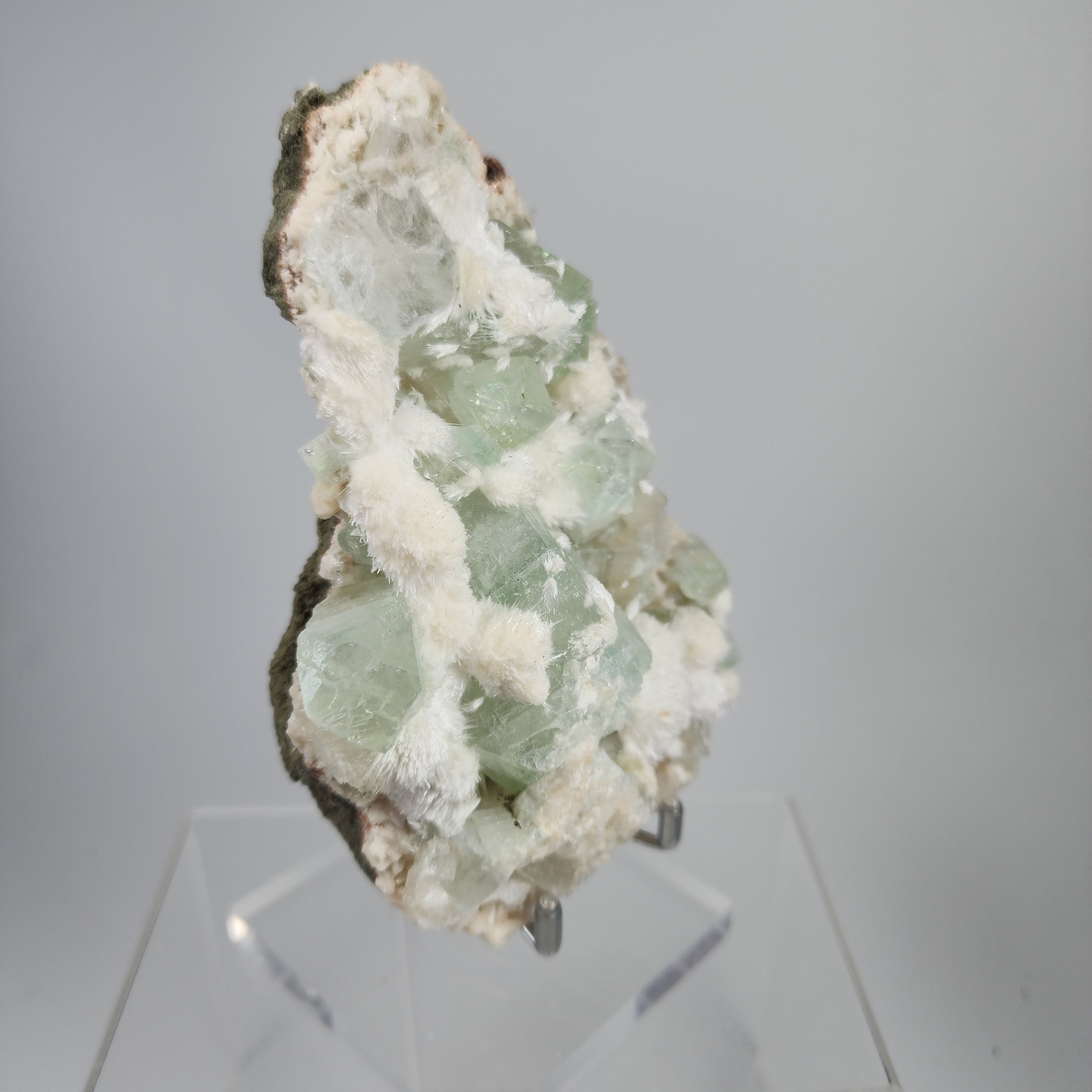 Okenite on Green Apophyllite Specimen #60 from Aurangabad, Maharashtra, India