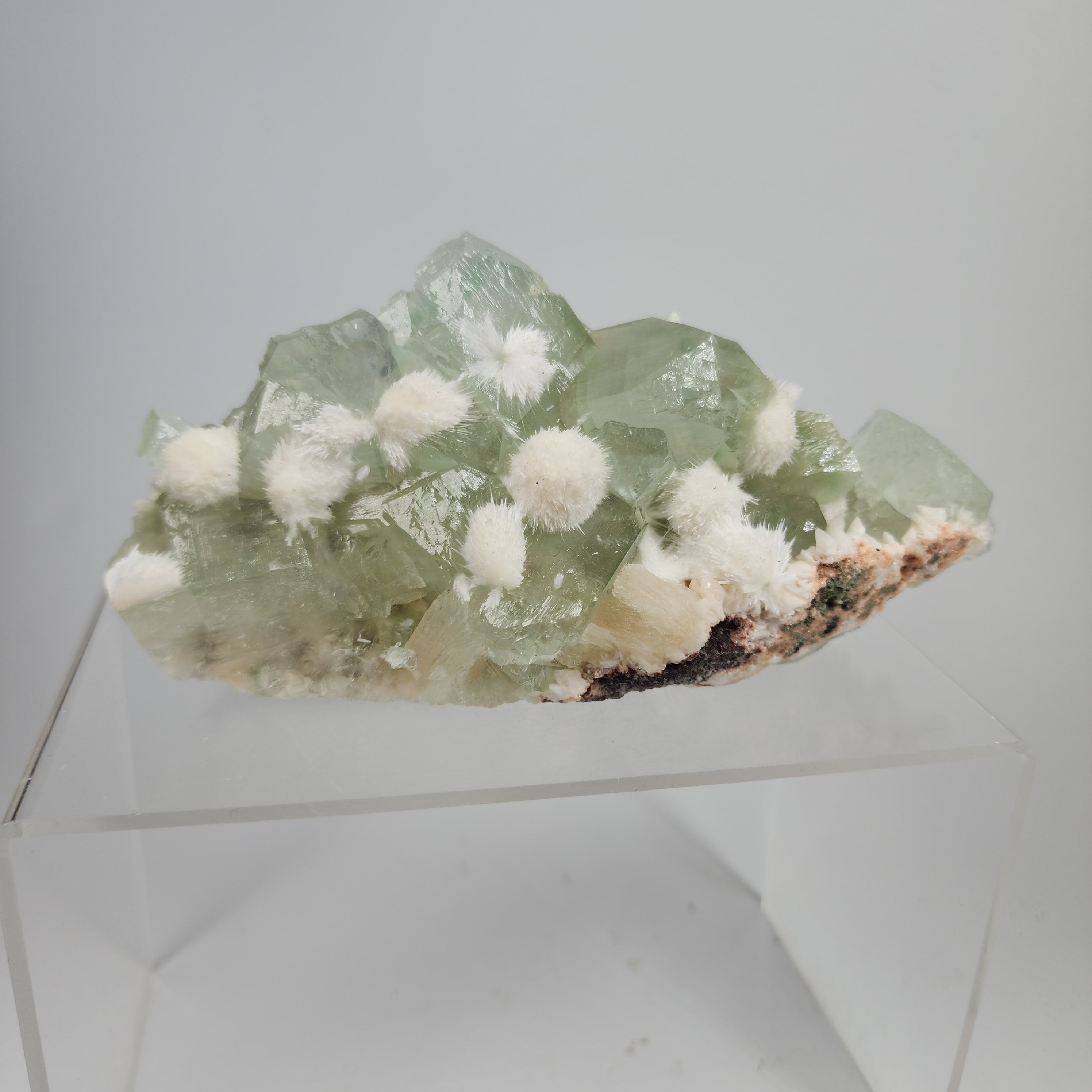 Okenite on Green Apophyllite Specimen #67 from Aurangabad, Maharashtra, India