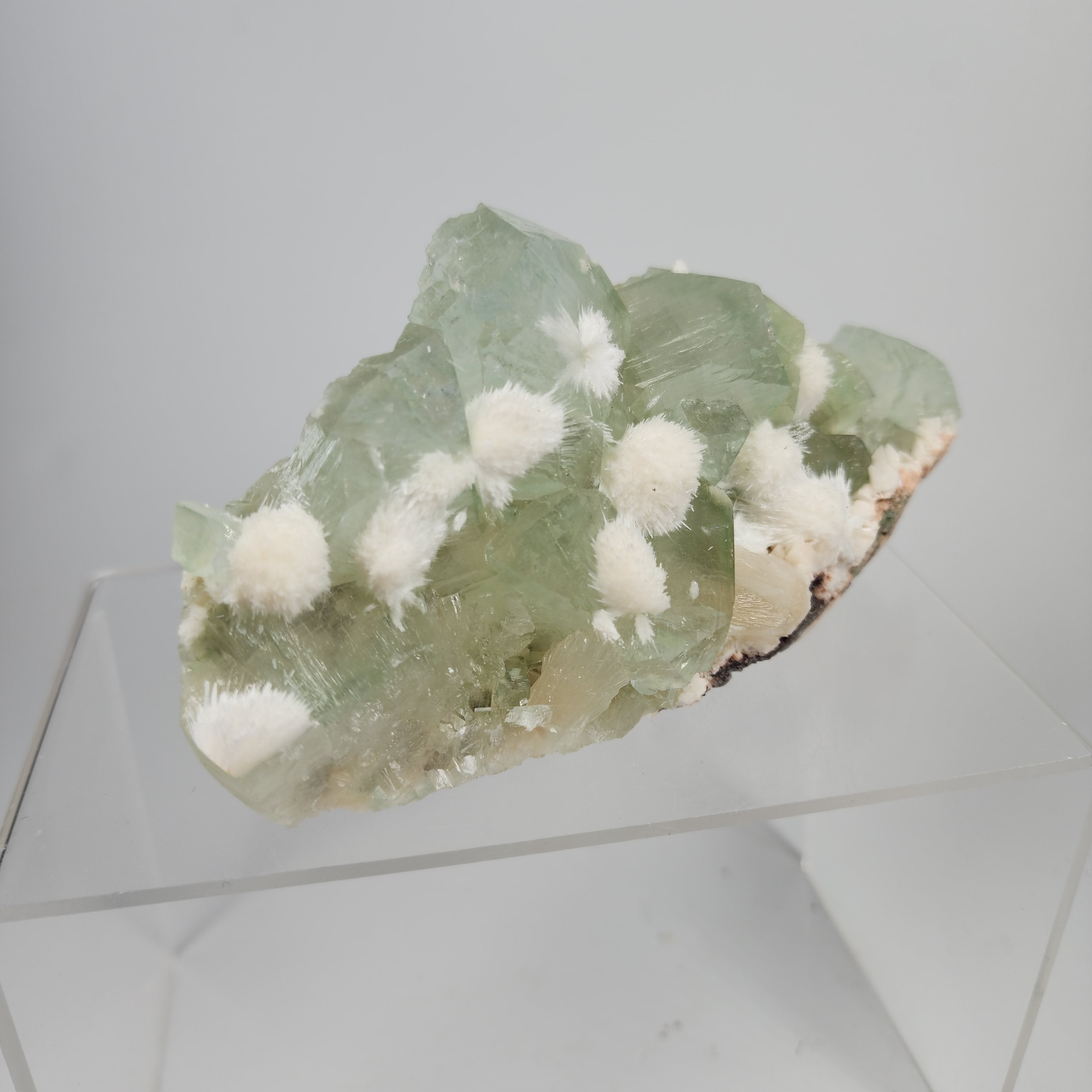 Okenite on Green Apophyllite Specimen #67 from Aurangabad, Maharashtra, India