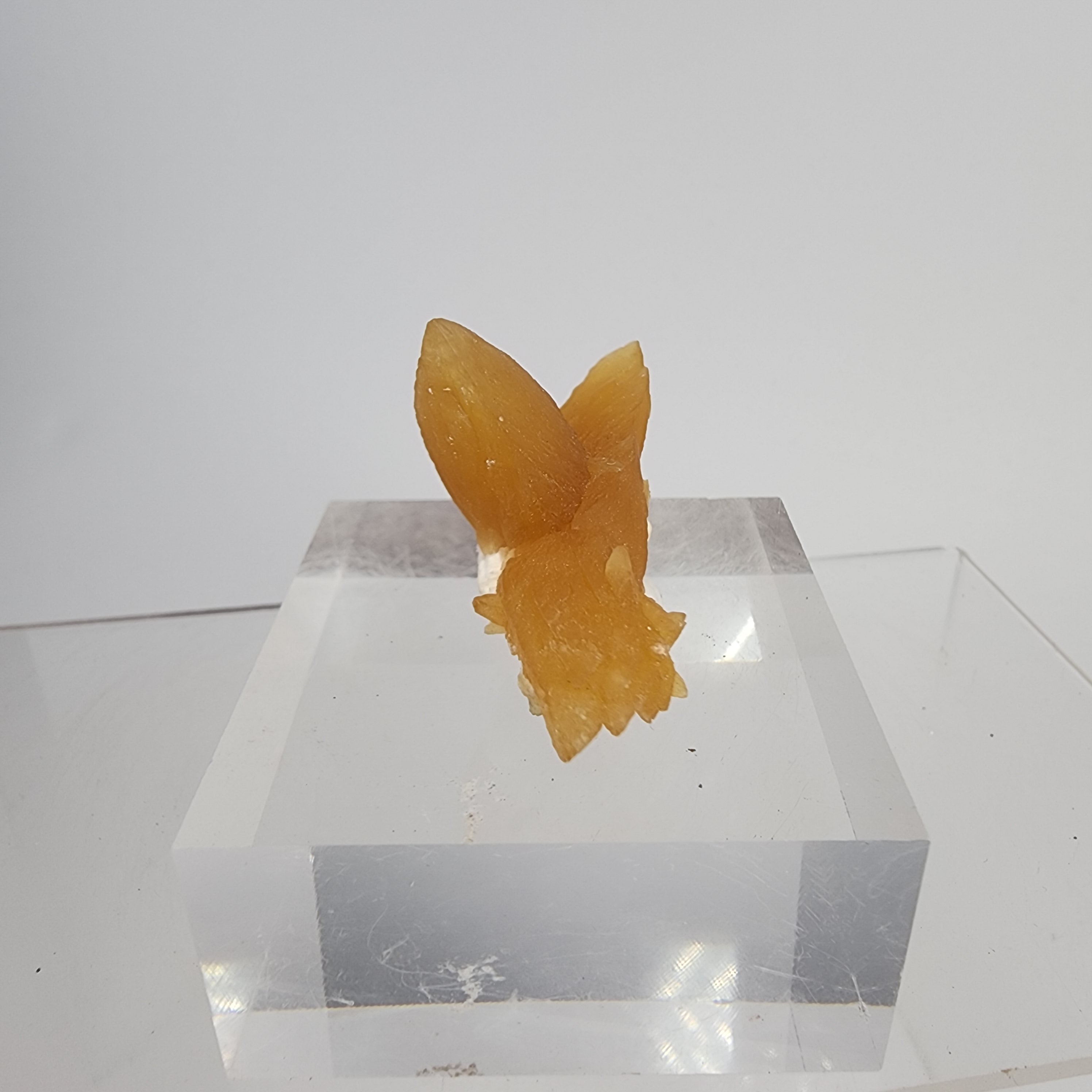 Golden Calcite on Mordenite Specimen #5 from Aurangabad, Maharashtra, India